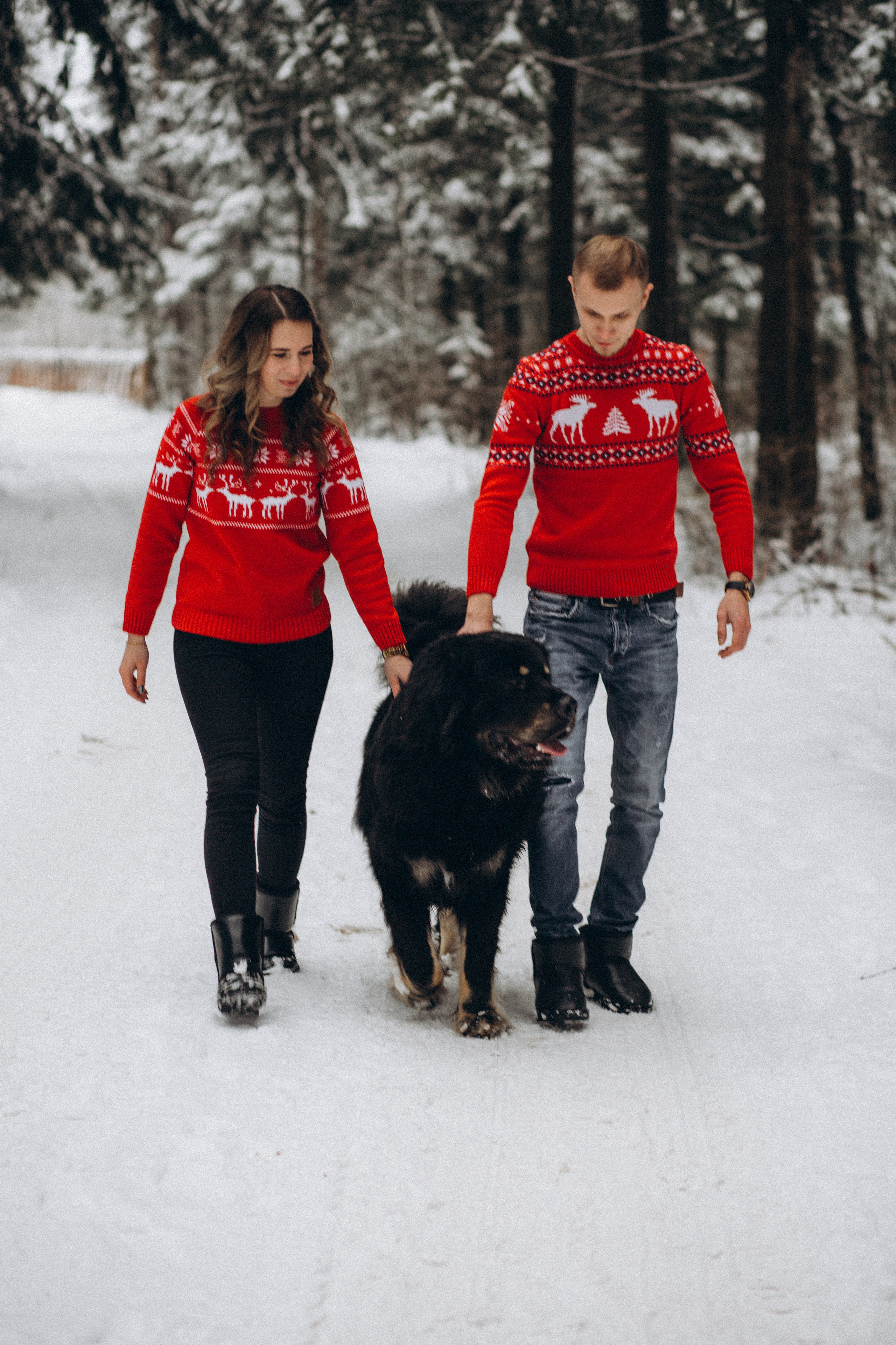 Елена & Александр. Семейный фотограф в Москве и Московской области Донкова Екатерина