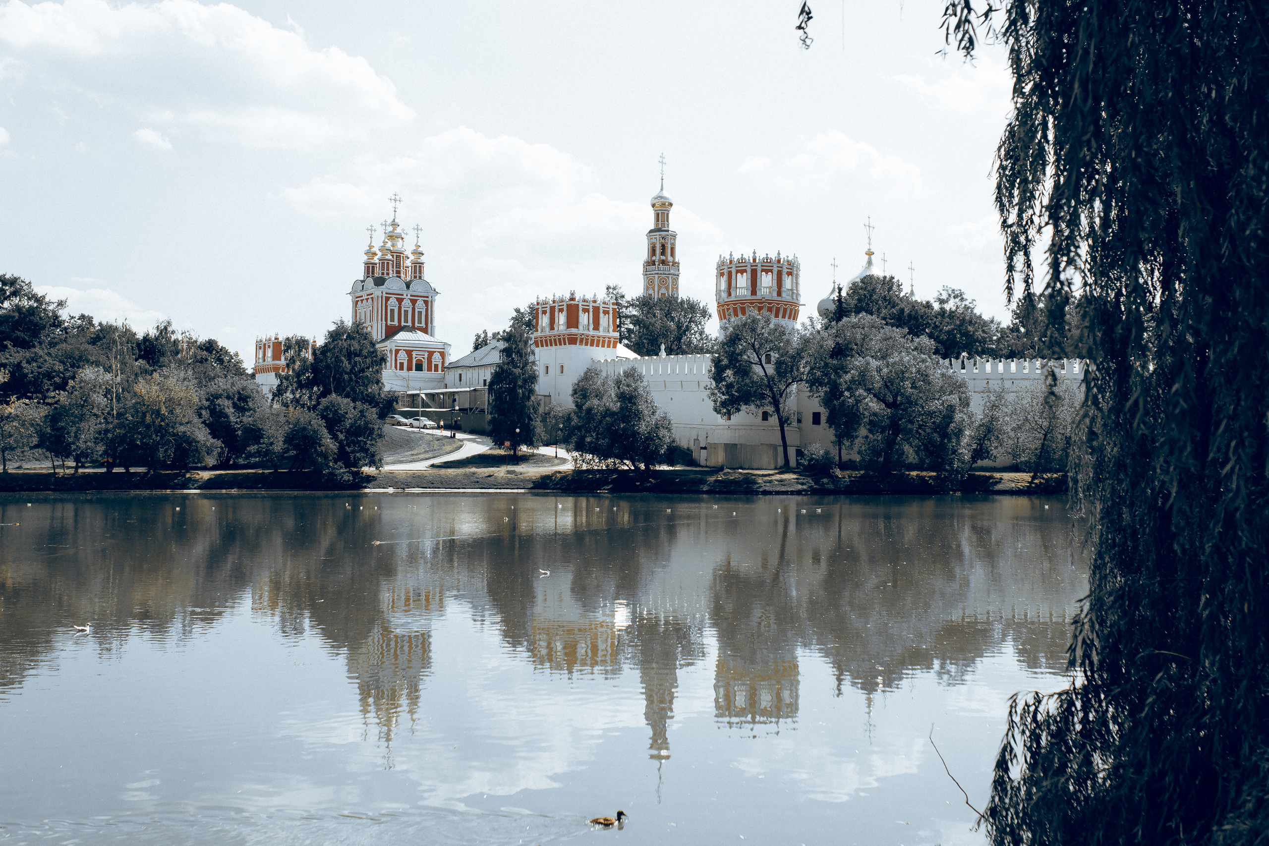 Аня & Андрей прогулка. Семейный фотограф в Москве и Московской области Донкова Екатерина