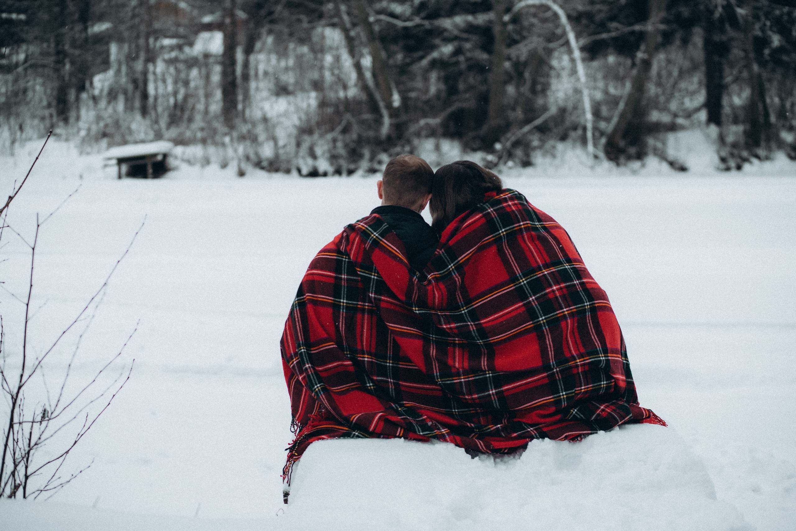 Елена & Александр. Семейный фотограф в Москве и Московской области Донкова Екатерина