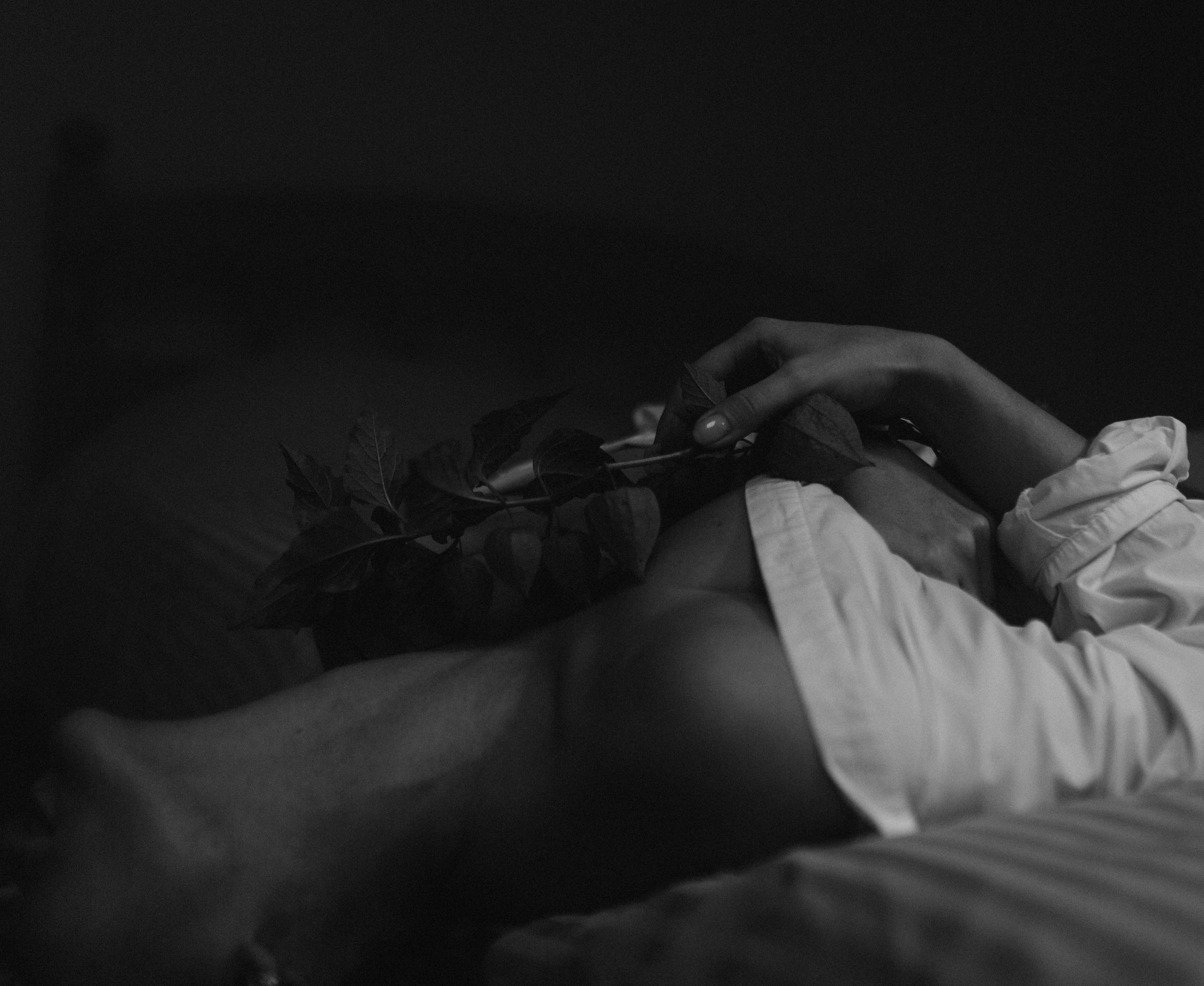 Латифа линии. Семейный фотограф в Москве и Московской области Донкова Екатерина