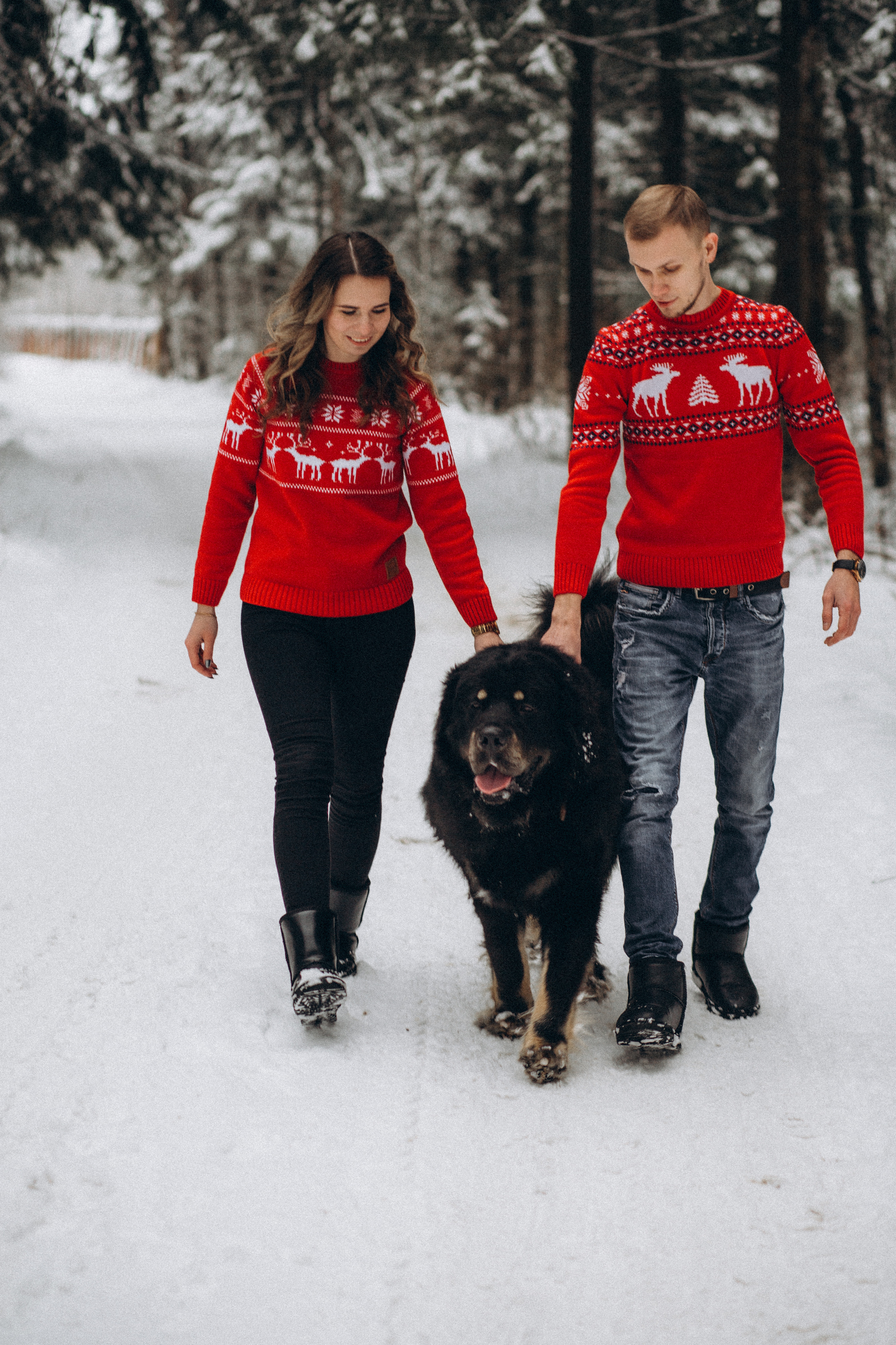 Елена & Александр. Семейный фотограф в Москве и Московской области Донкова Екатерина