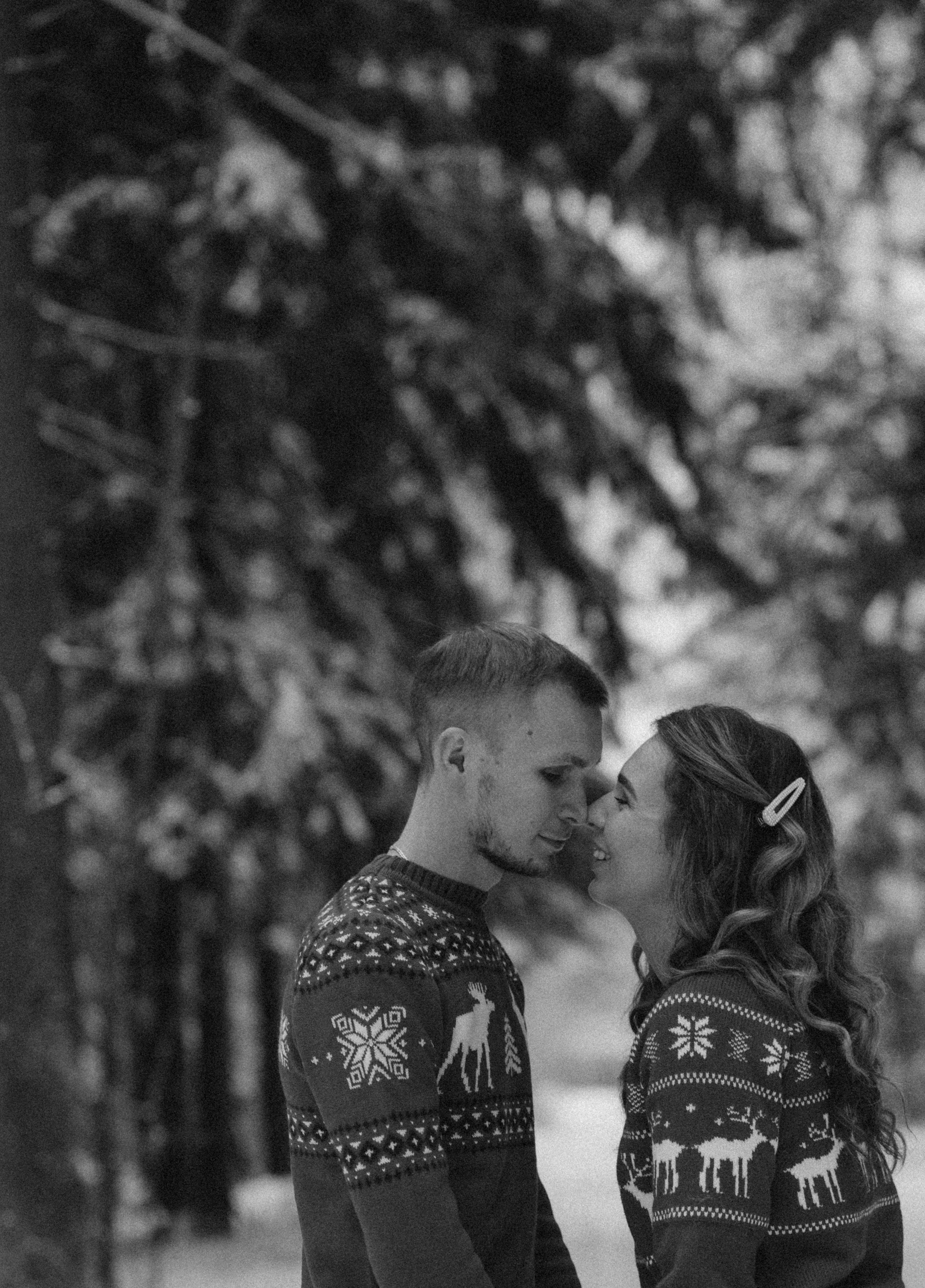 Елена & Александр. Семейный фотограф в Москве и Московской области Донкова Екатерина