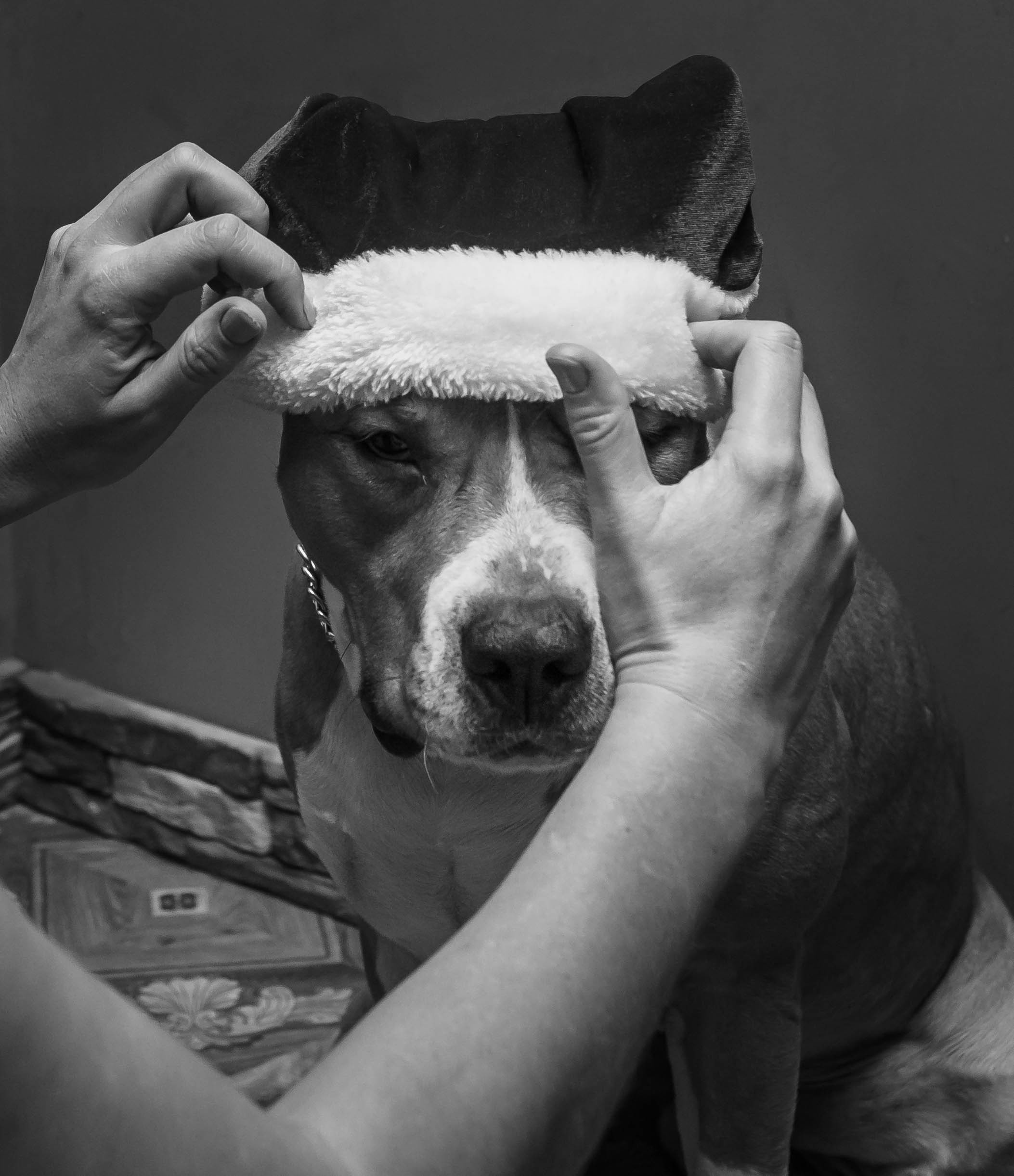 Ольга & Сергей домашняя семейная сьемка. Семейный фотограф в Москве и Московской области Донкова Екатерина