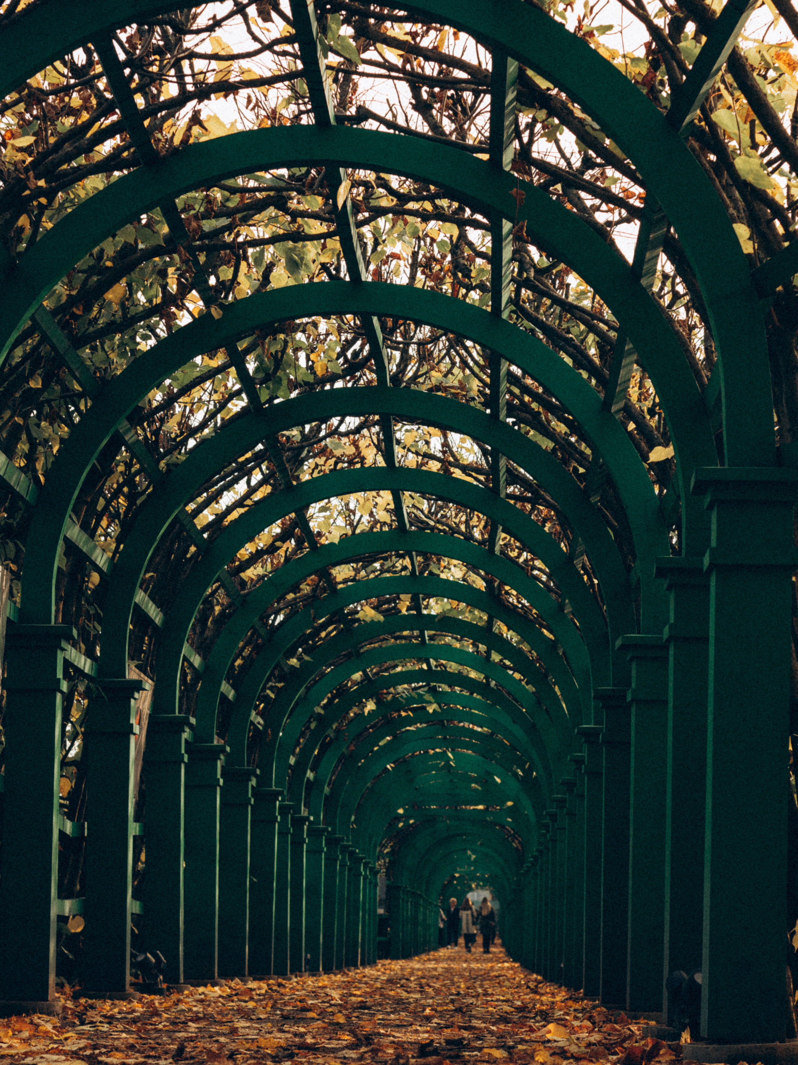 Виктория Архангельское. Семейный фотограф в Москве и Московской области Донкова Екатерина