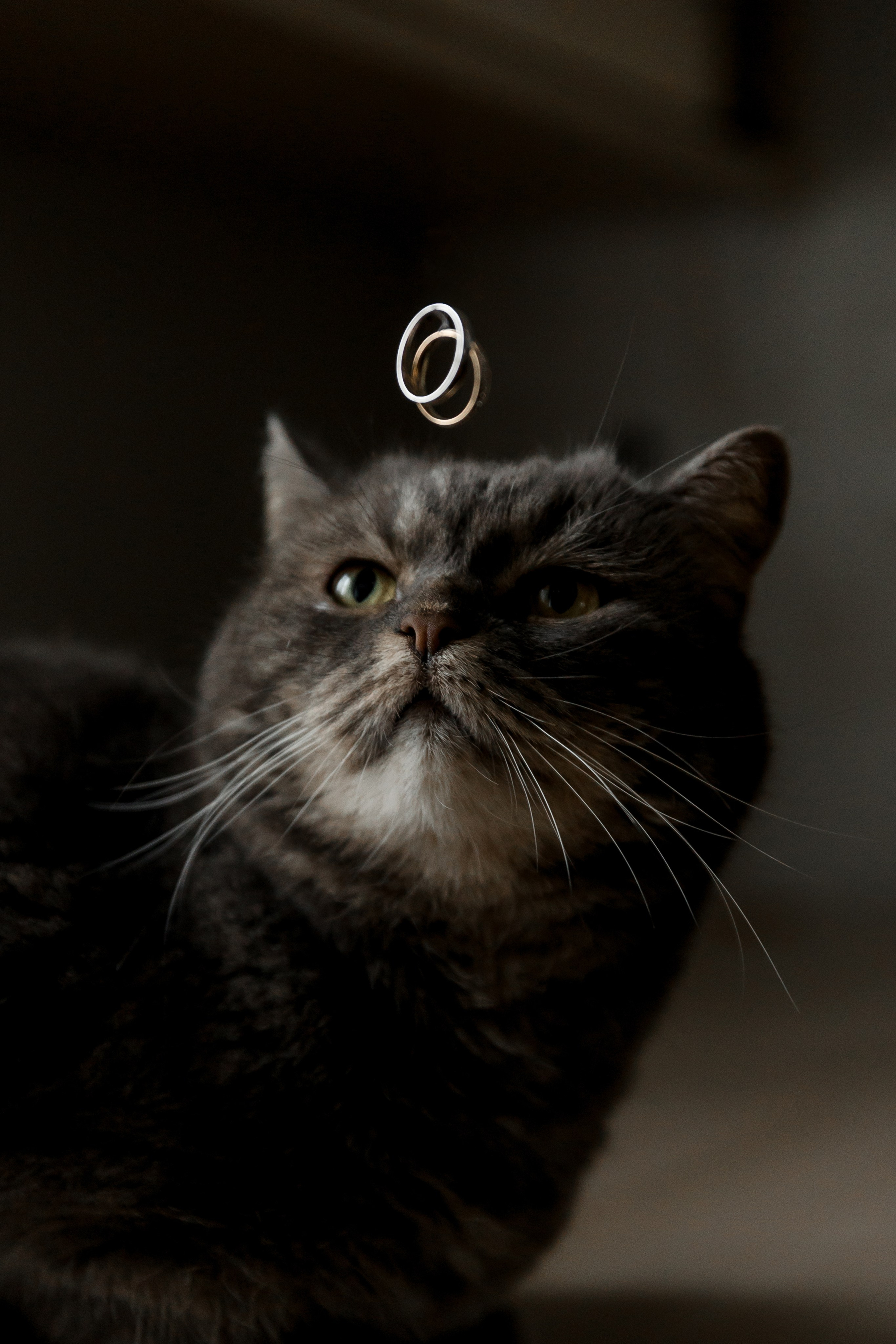 Свадебный и семейный фотограф Динар Гильмутдинов