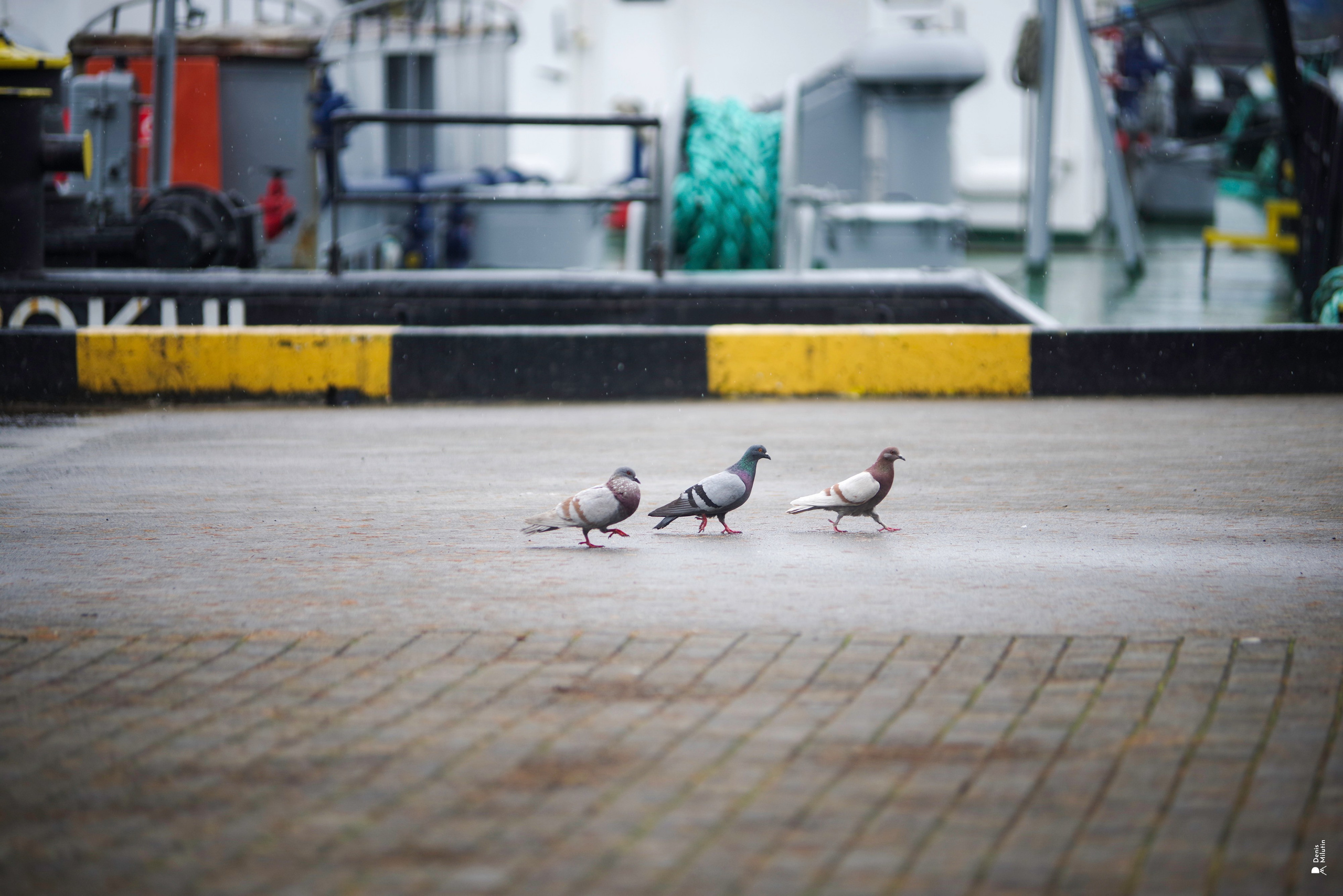В отпуске с Артёмом. Портретный фотограф Денис Милютин