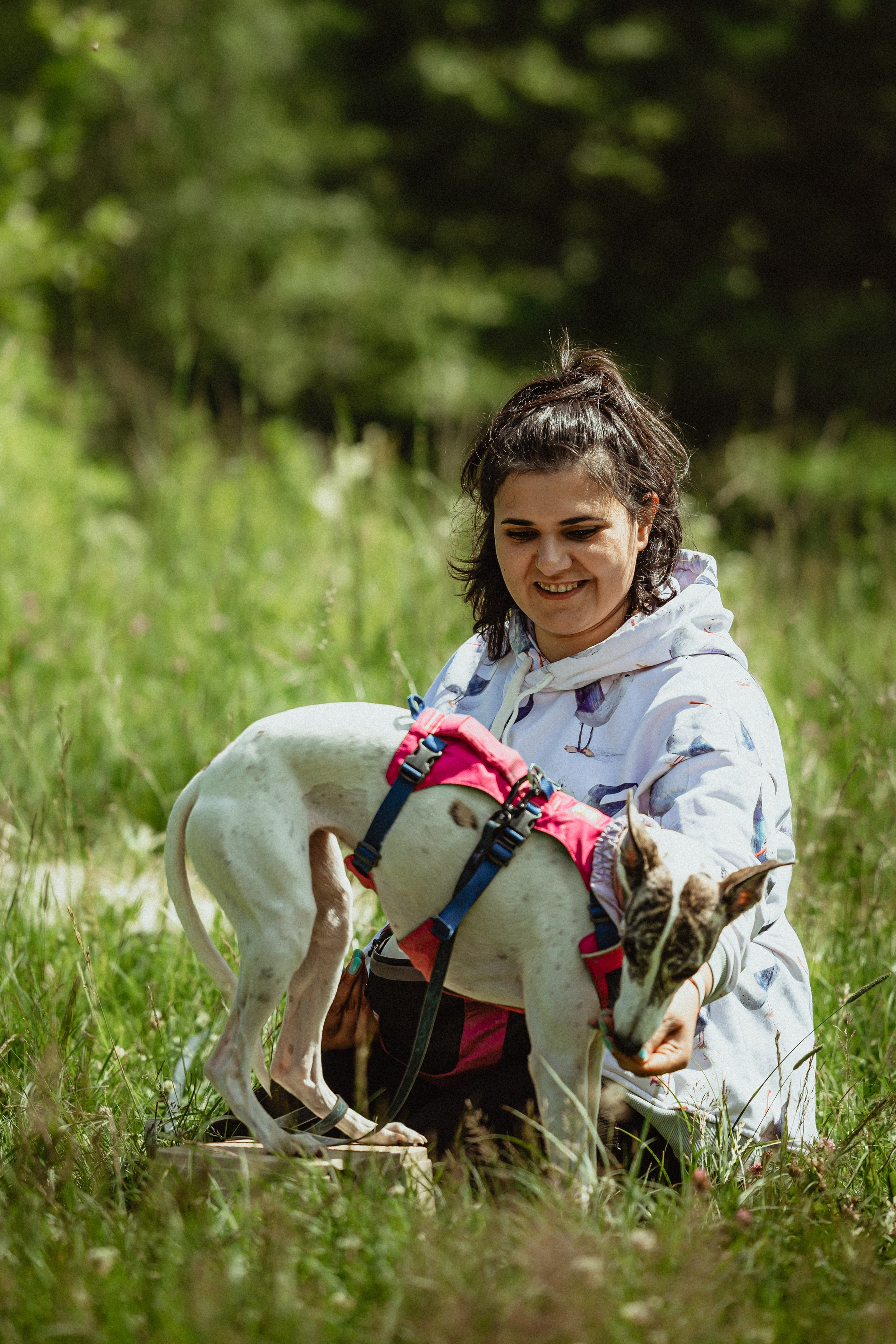 Выездной дог-тренинг от школы «Шерсть имею»