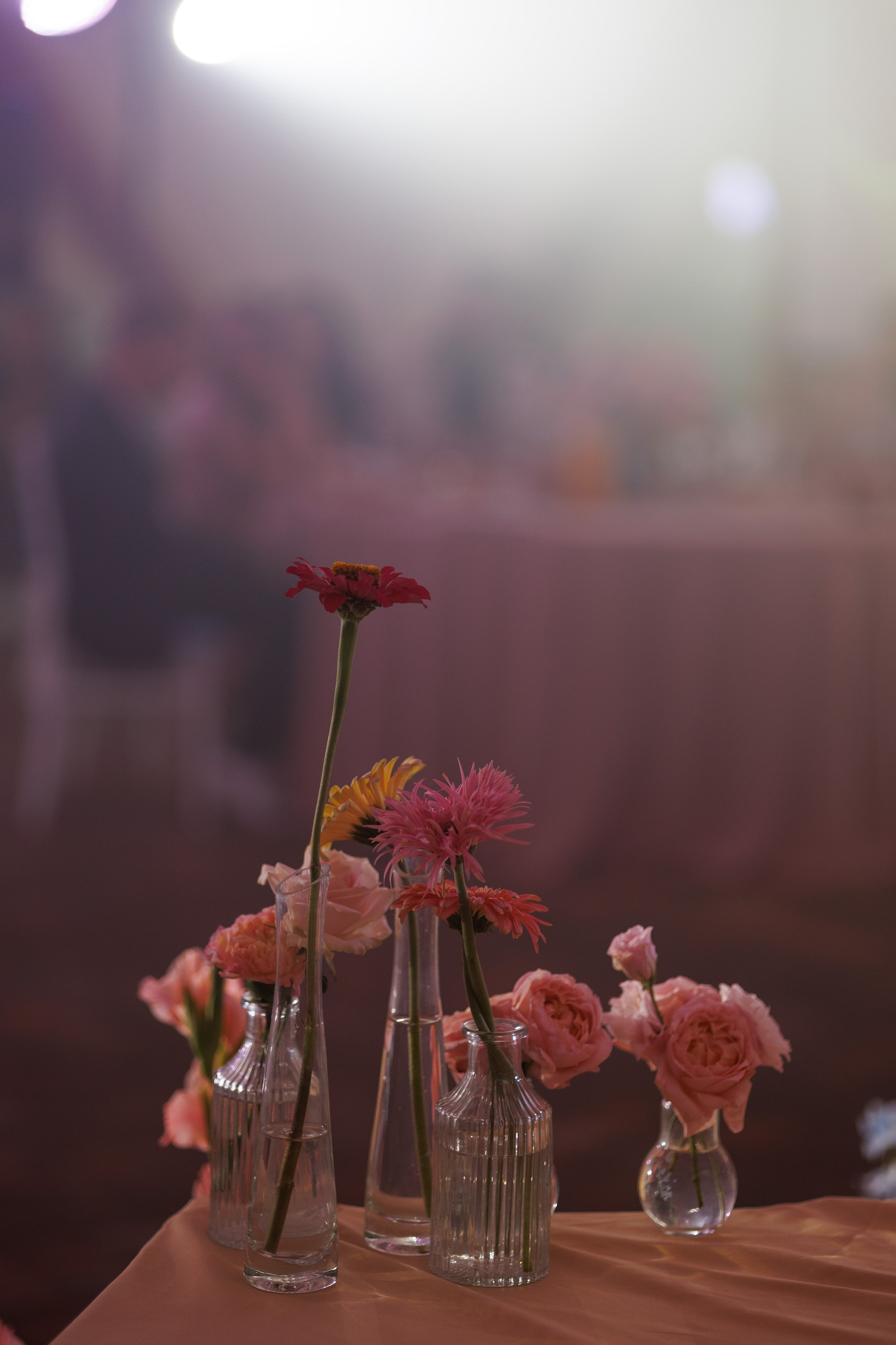 Фотограф Софья Гречка