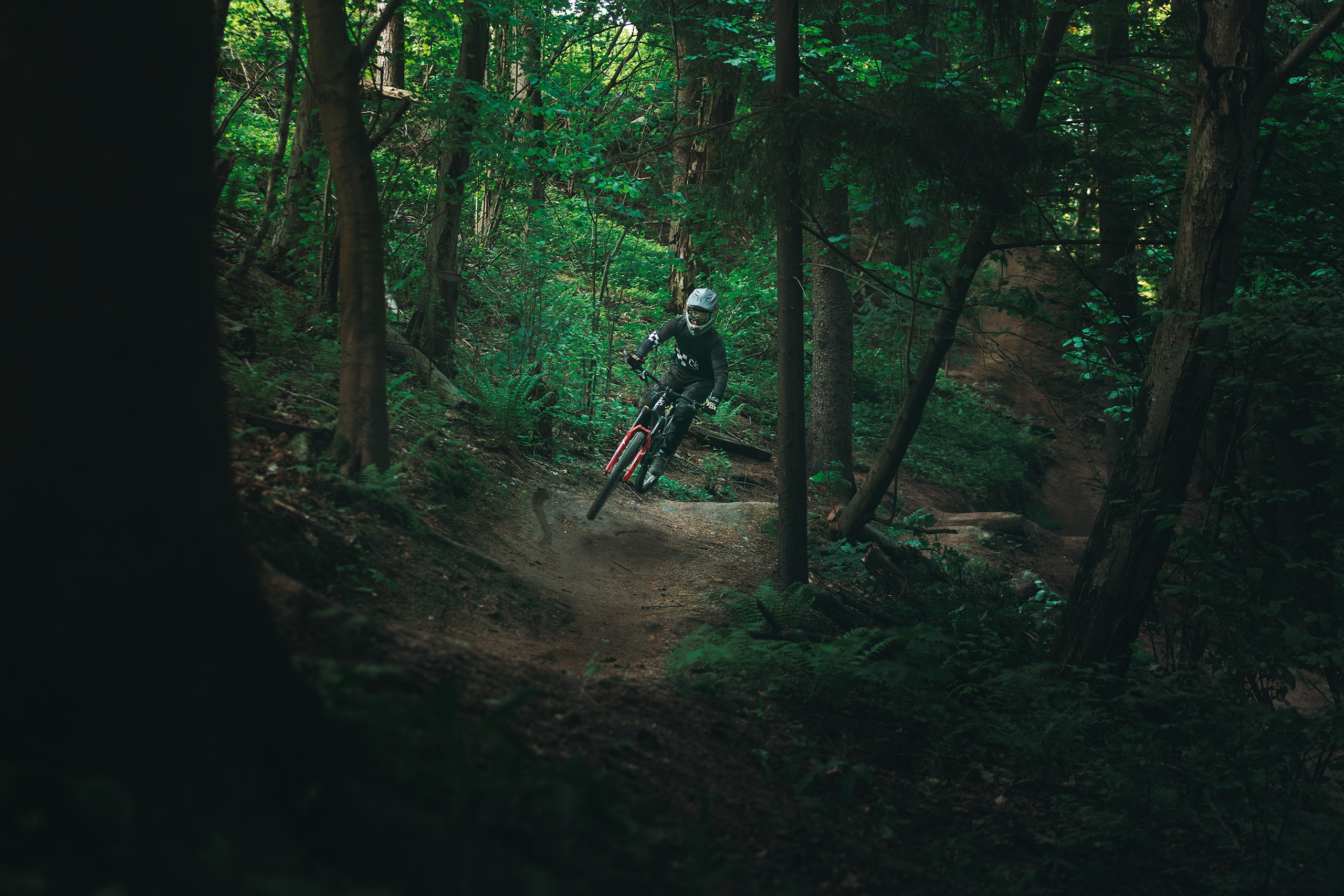 Саша и Ваня. Фотограф анималист Никита Натальный