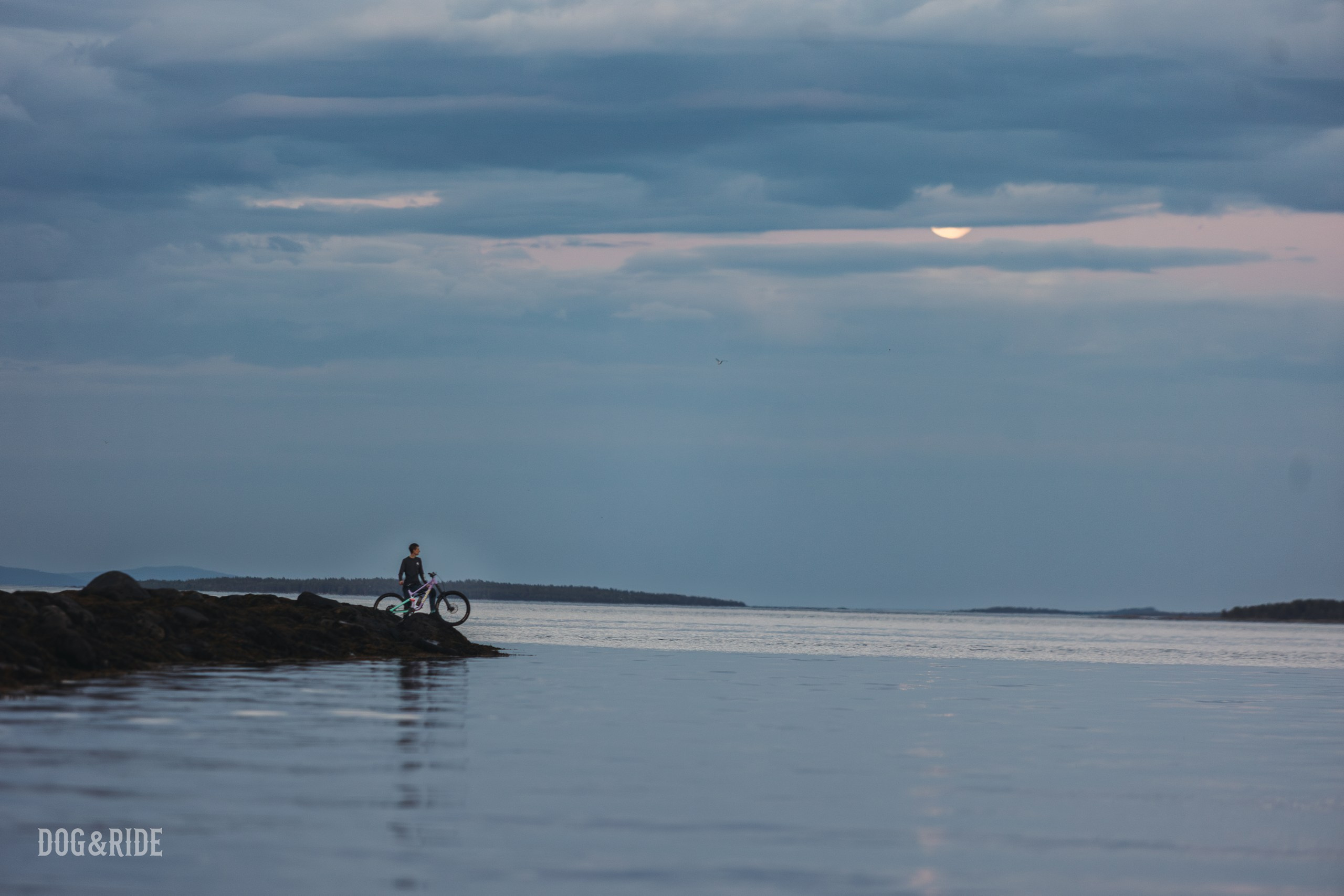 Кандалакшка. Фотограф анималист Никита Натальный