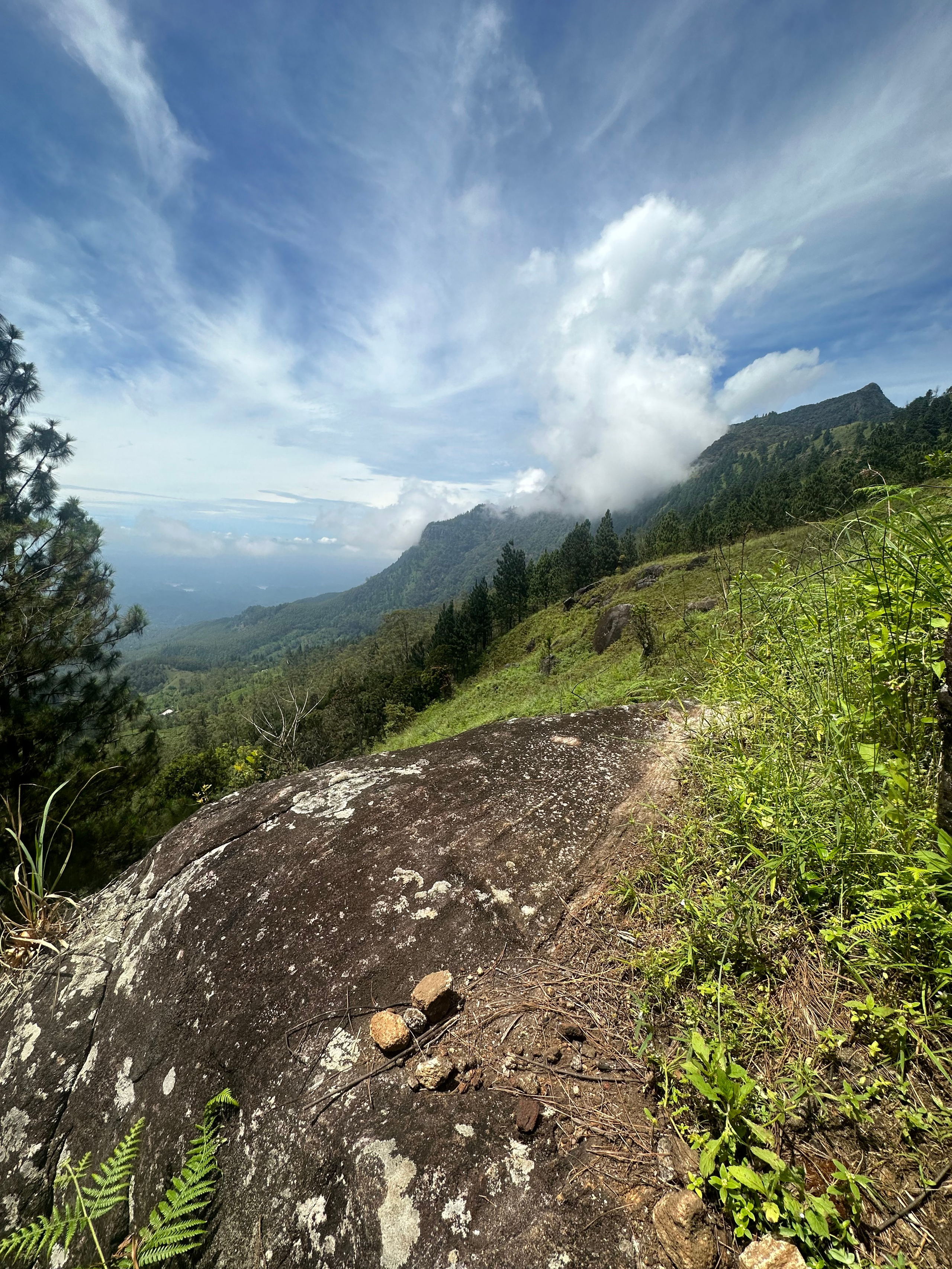 beautiful landscapes