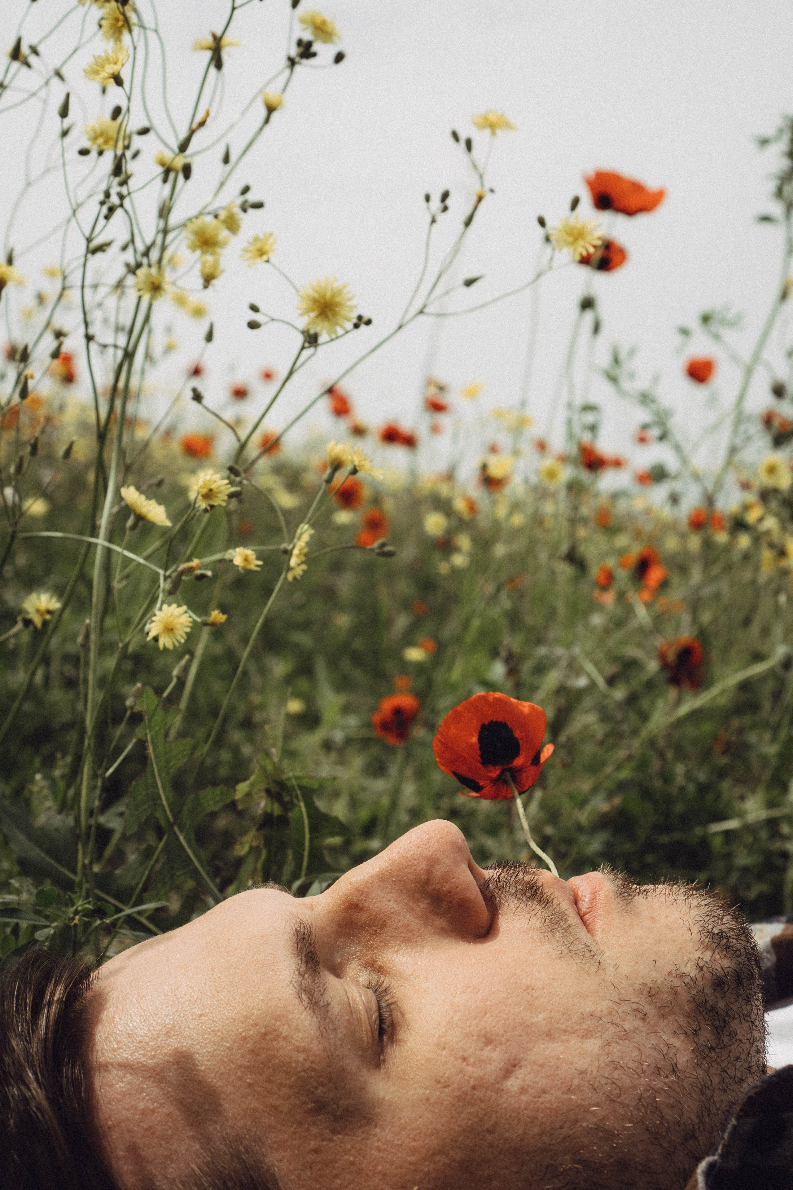 Маки. Профессиональный фотограф, Санкт-Петербург — Виктория Богомолова