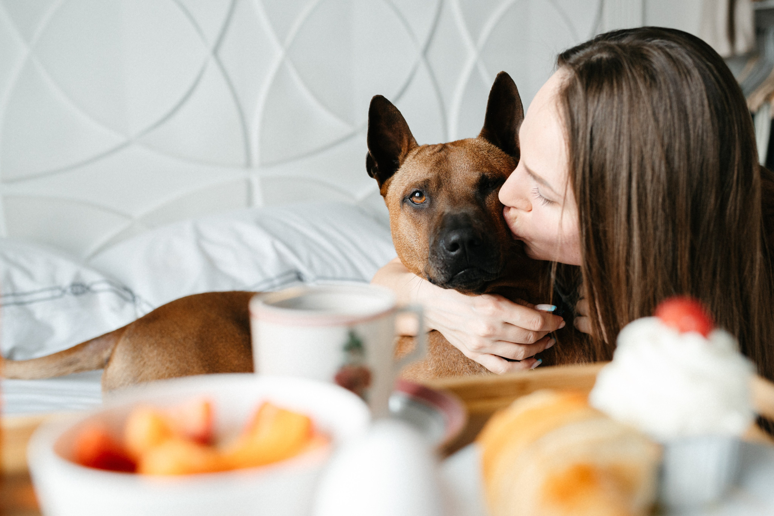 Оксана и Зевс. Фотограф анималист в Москве Ольга Агушева