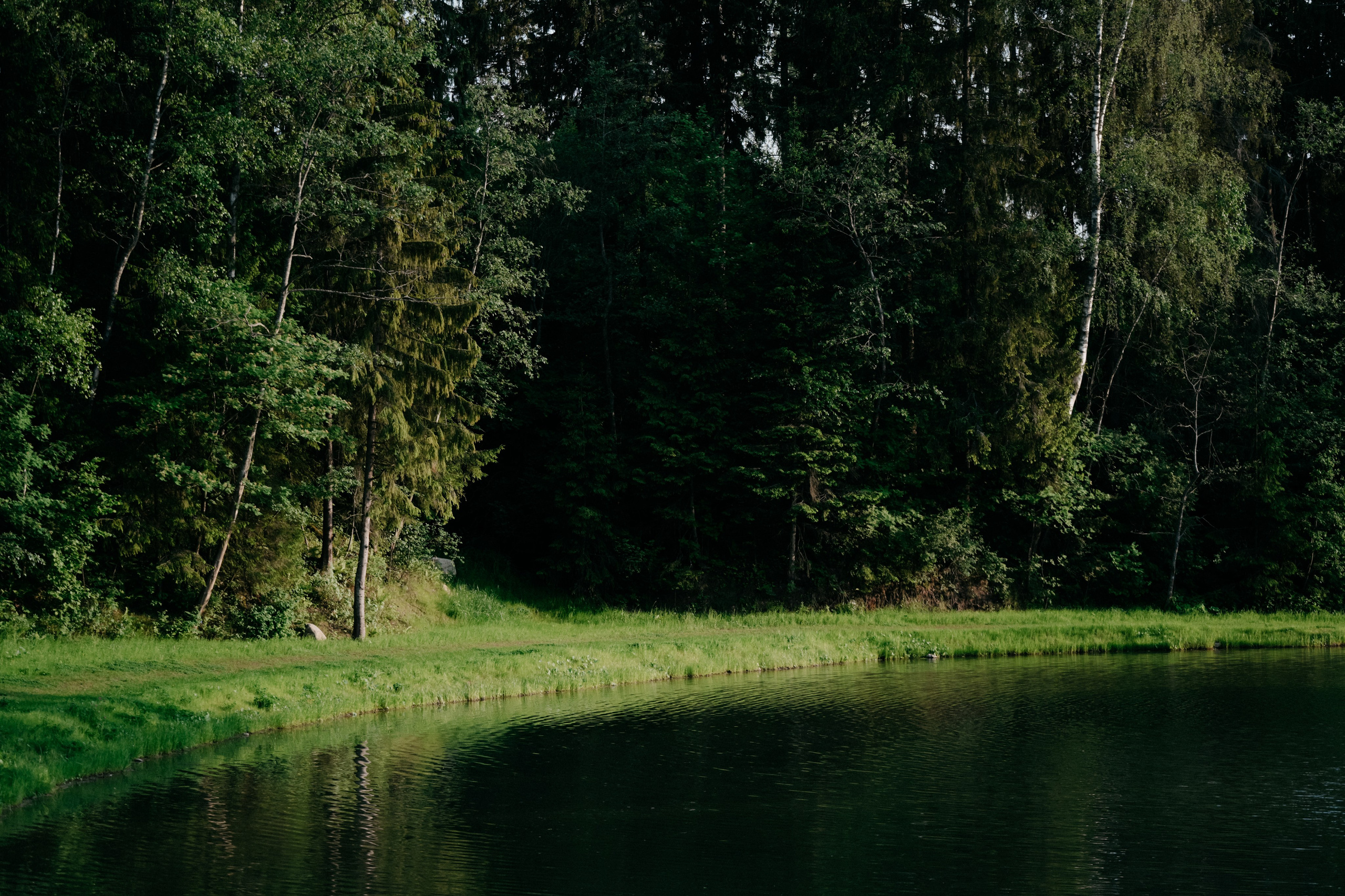 Onpoint. Фотограф в Москве Дмитрий Рогов