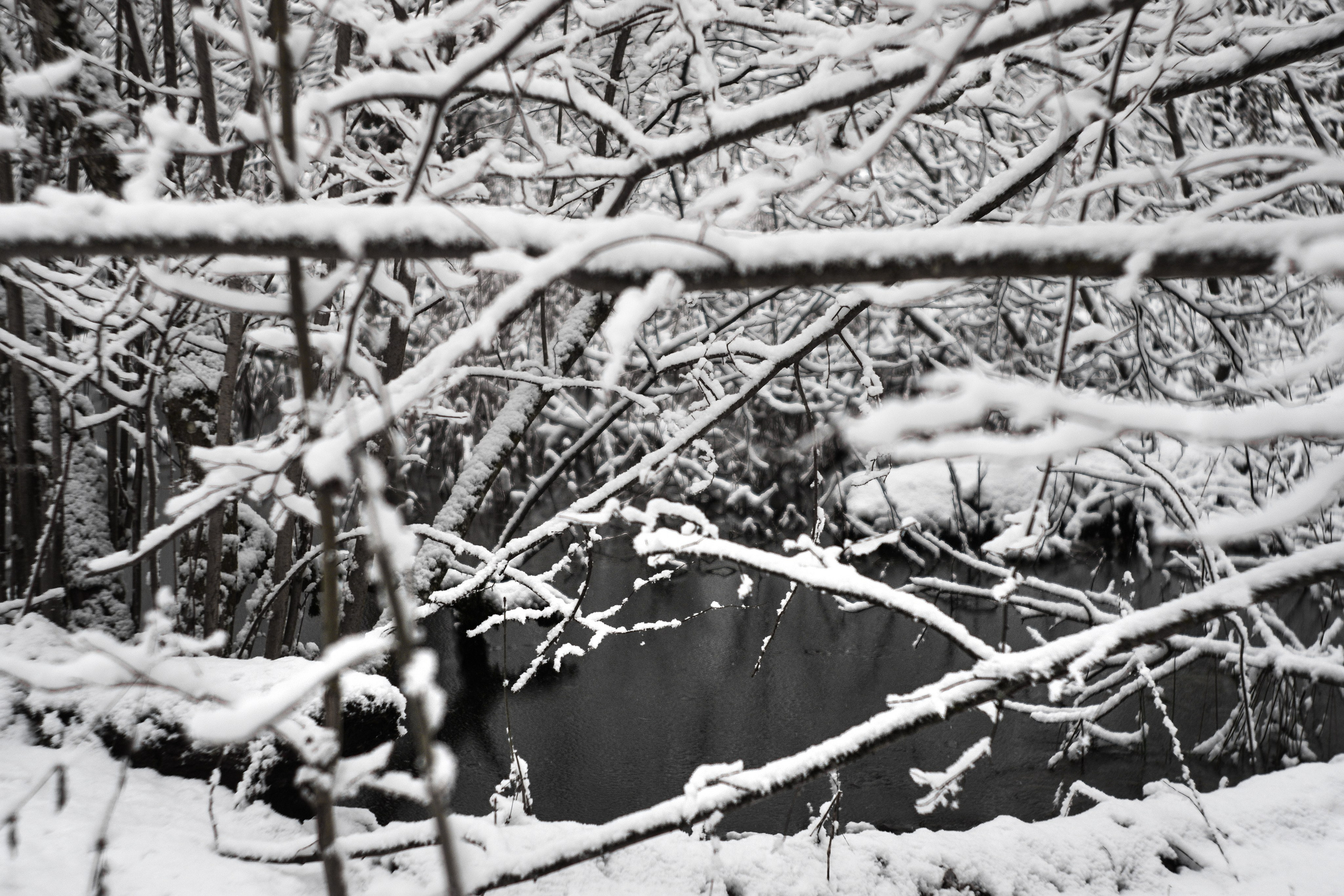 ЧБ  пейзажи (BnW landscape). Фотограф (photographer) Lischinski Vitaliy