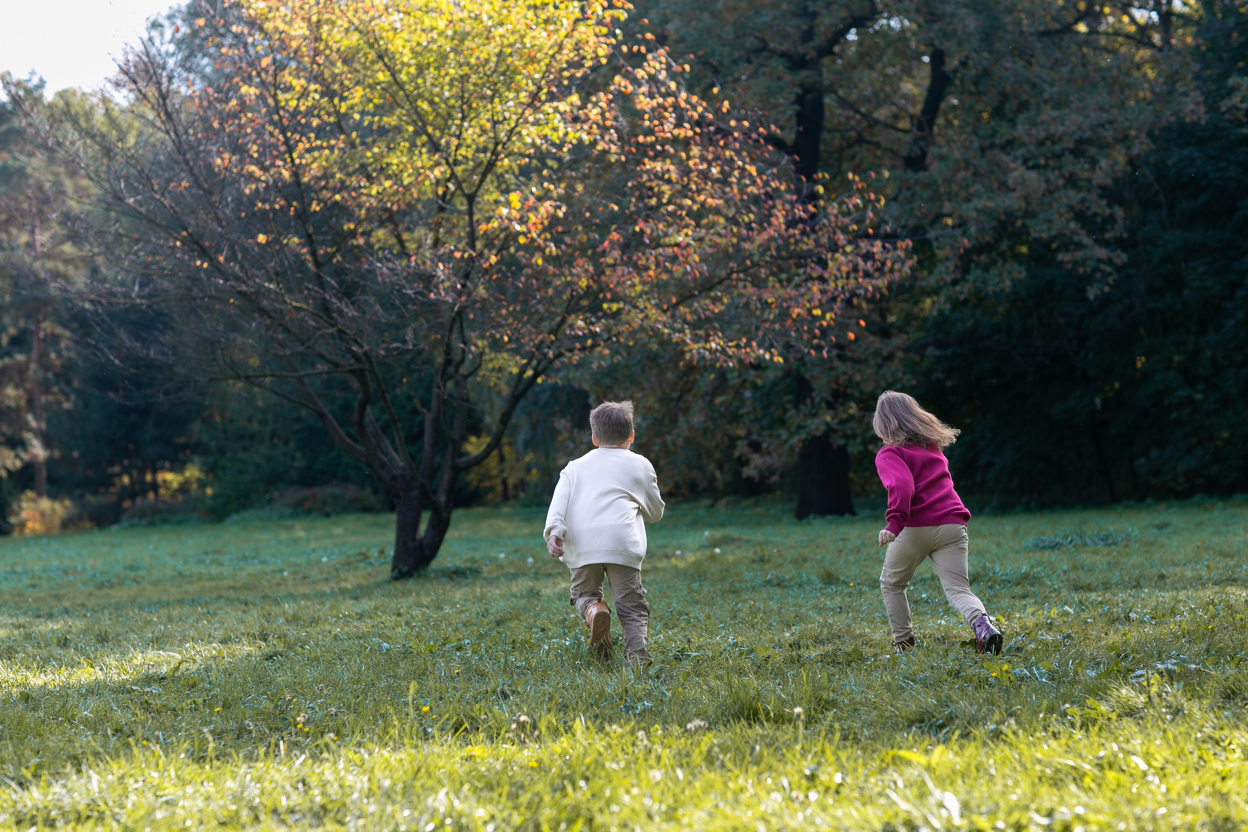 Осень в Ботаническом саду. Семейный и детский фотограф, женский портрет Москва Светлана Мертикова