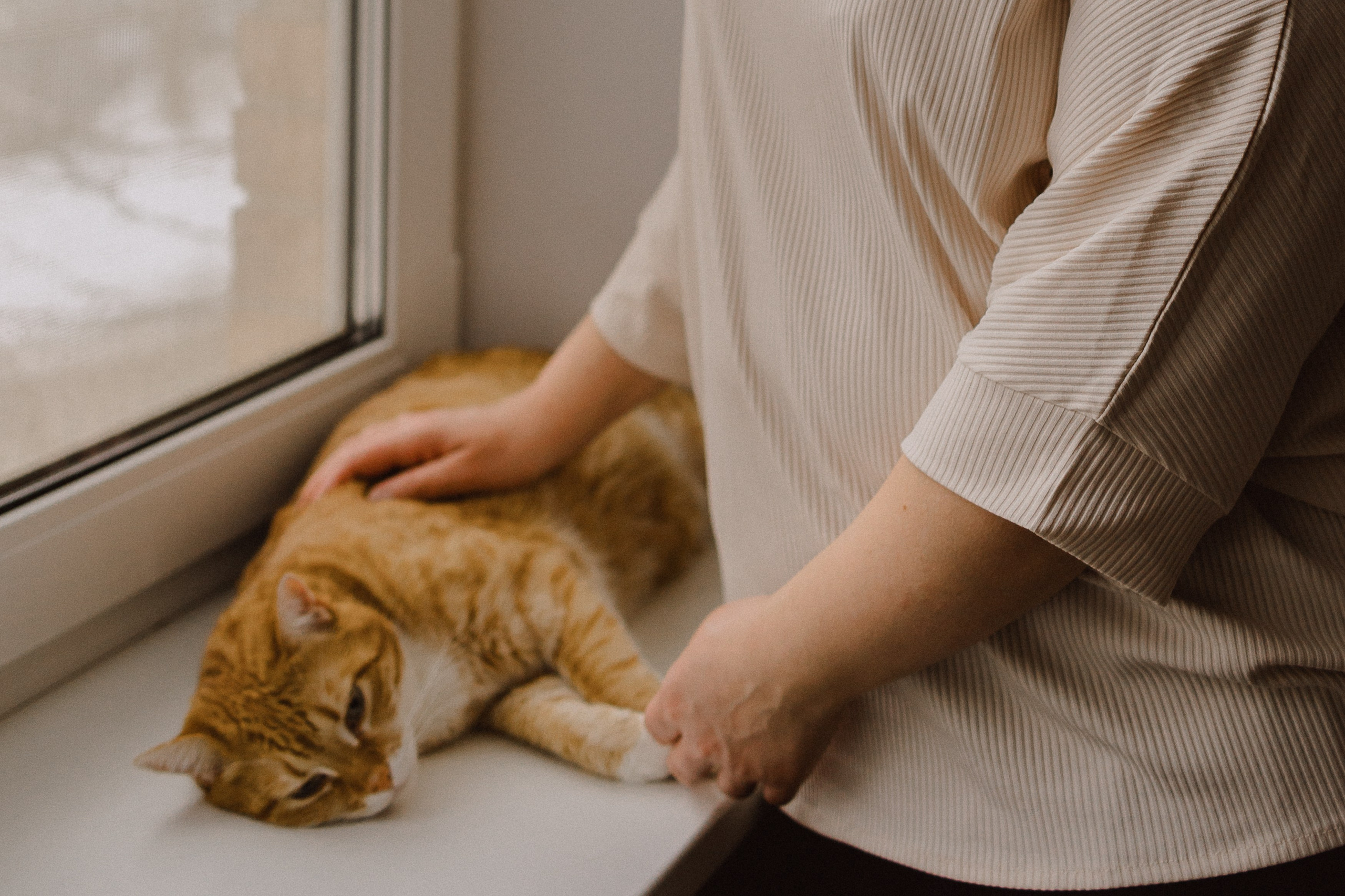 Домашняя фотосессия с новогодним настроением. Семейный и детский фотограф, женский портрет Москва Светлана Мертикова