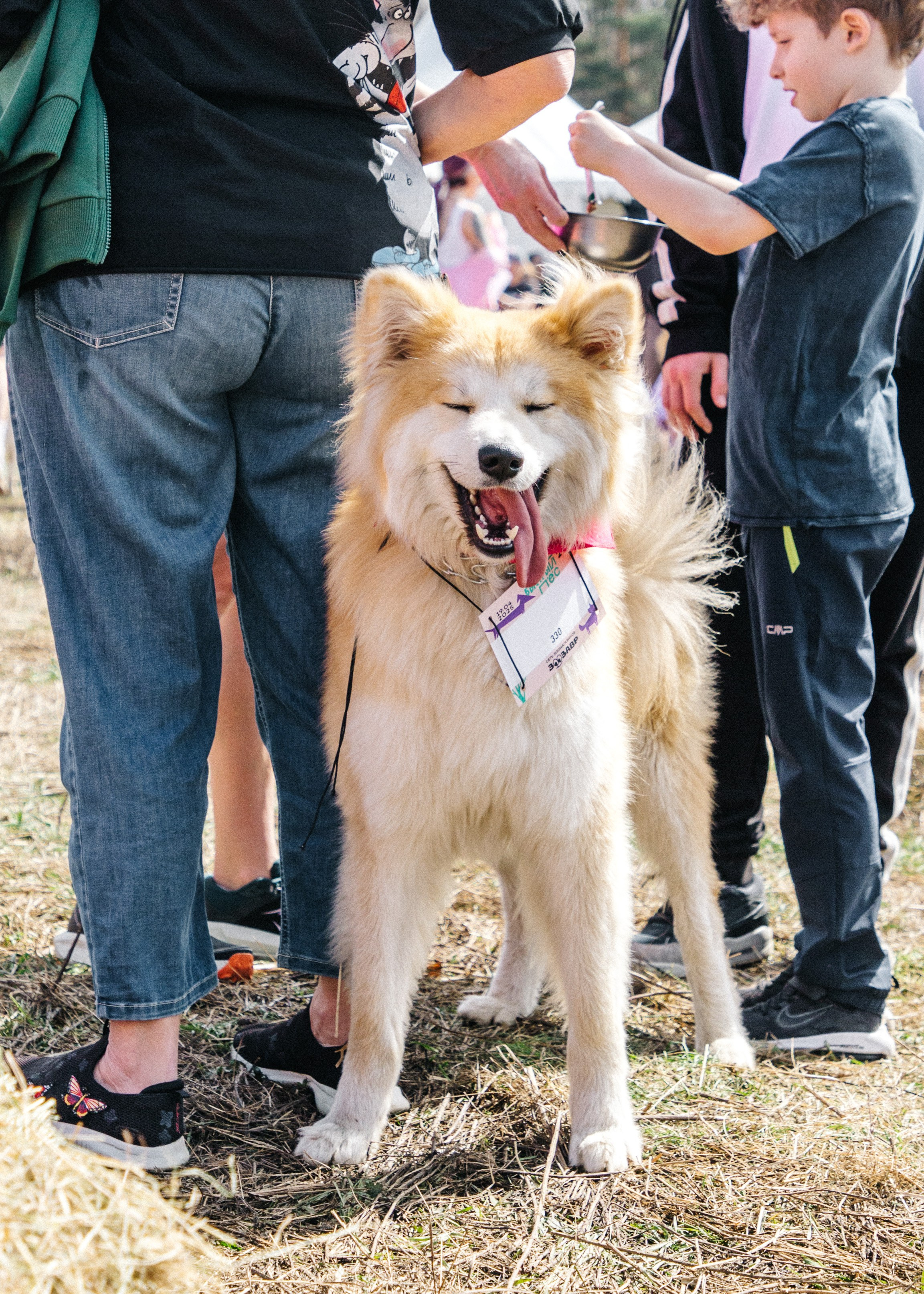 Кросс «Быстрый пёс» 2025. Репортажный фотограф в Москве