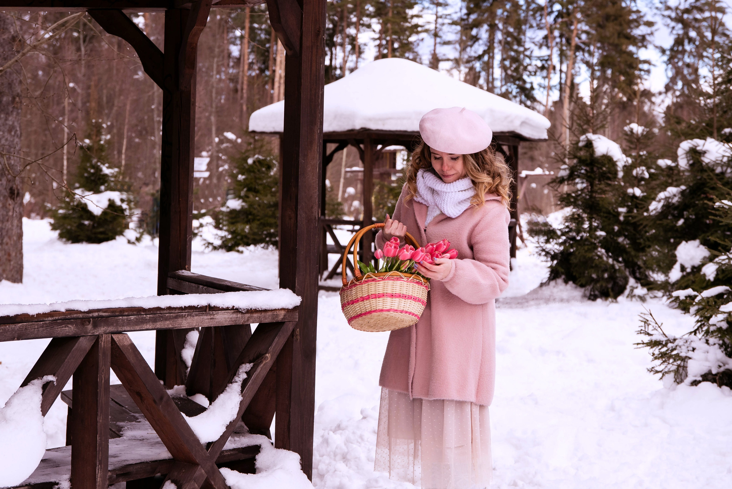 Зимние истории