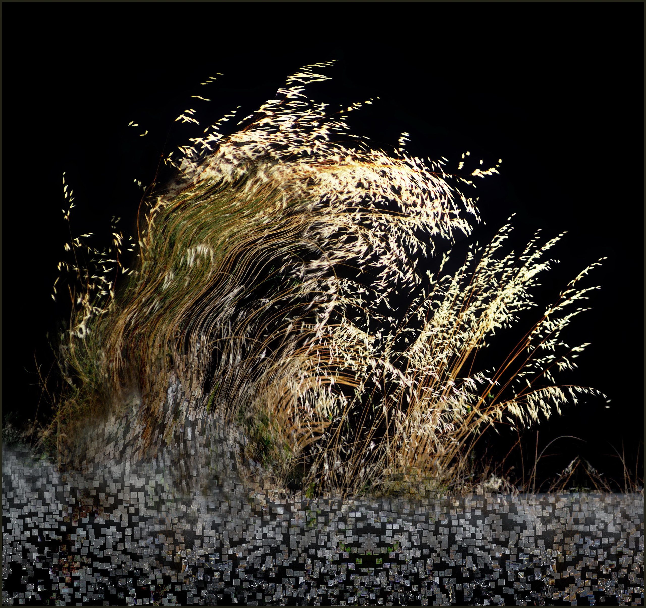 Парк в новом афоне. Вадим Шейдин