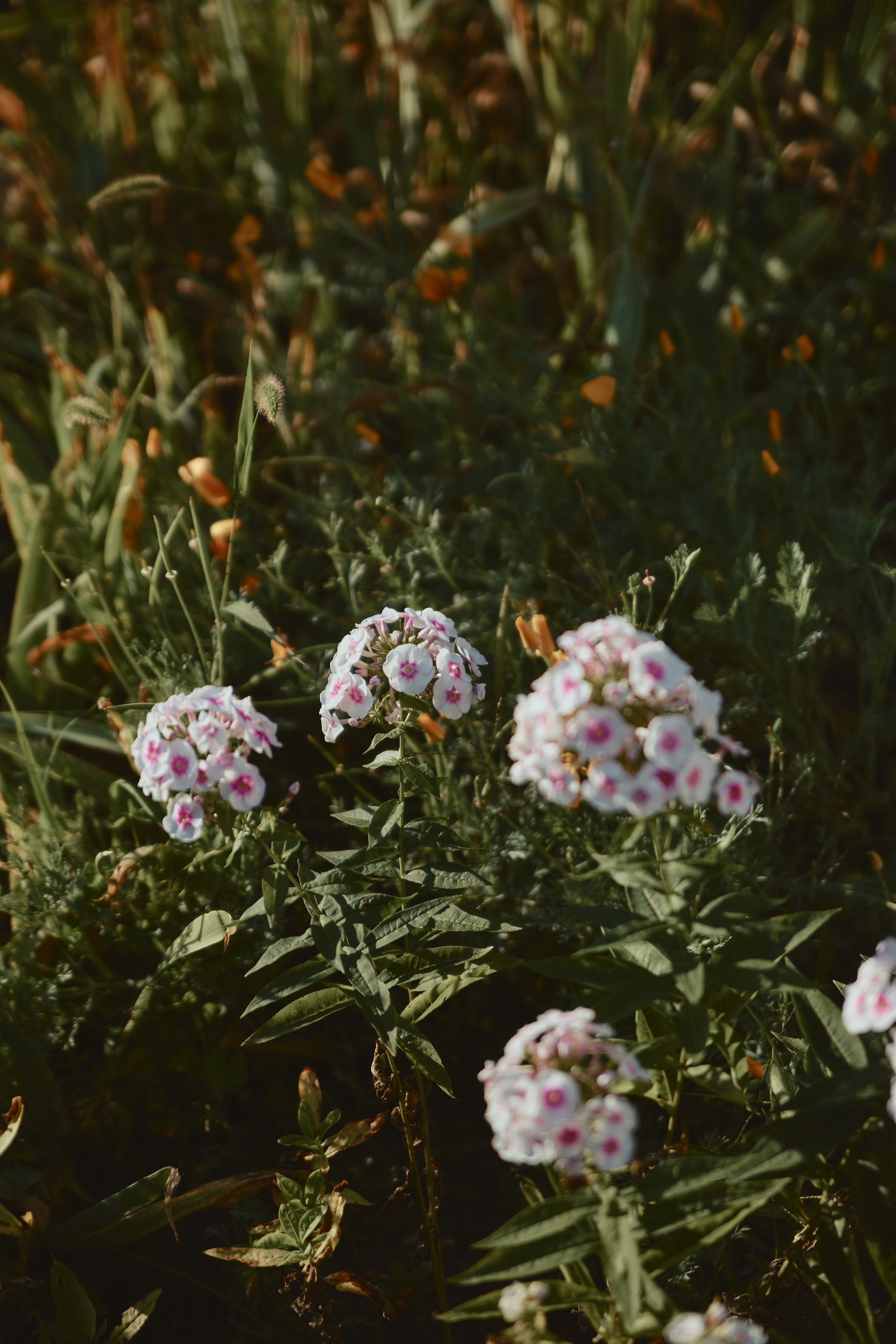 30|07|23. Анастасия Марунич | Блогер | Ставрополь