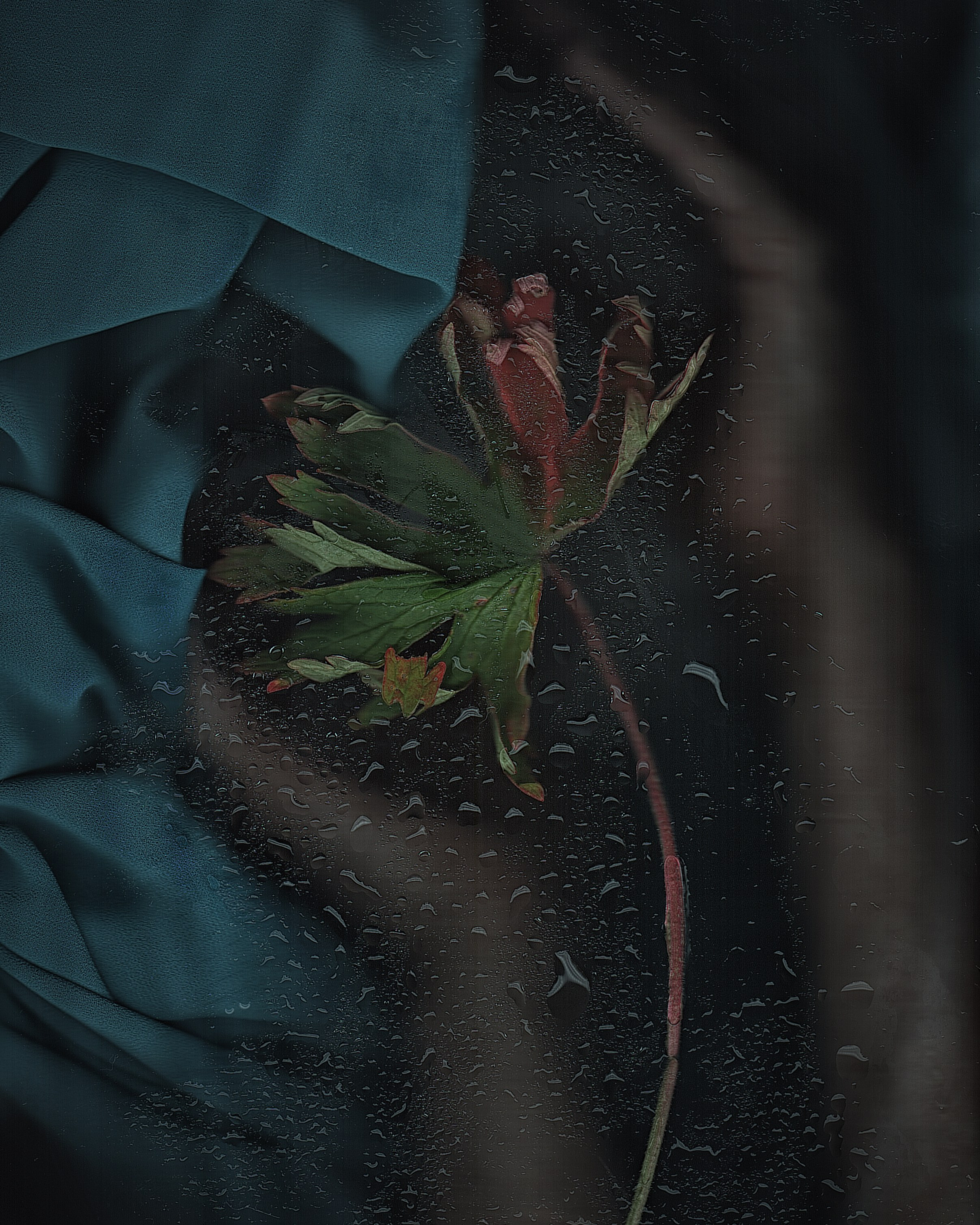 Интерьерные фотокартины. Фотограф Наталья Туева FineArt съёмка