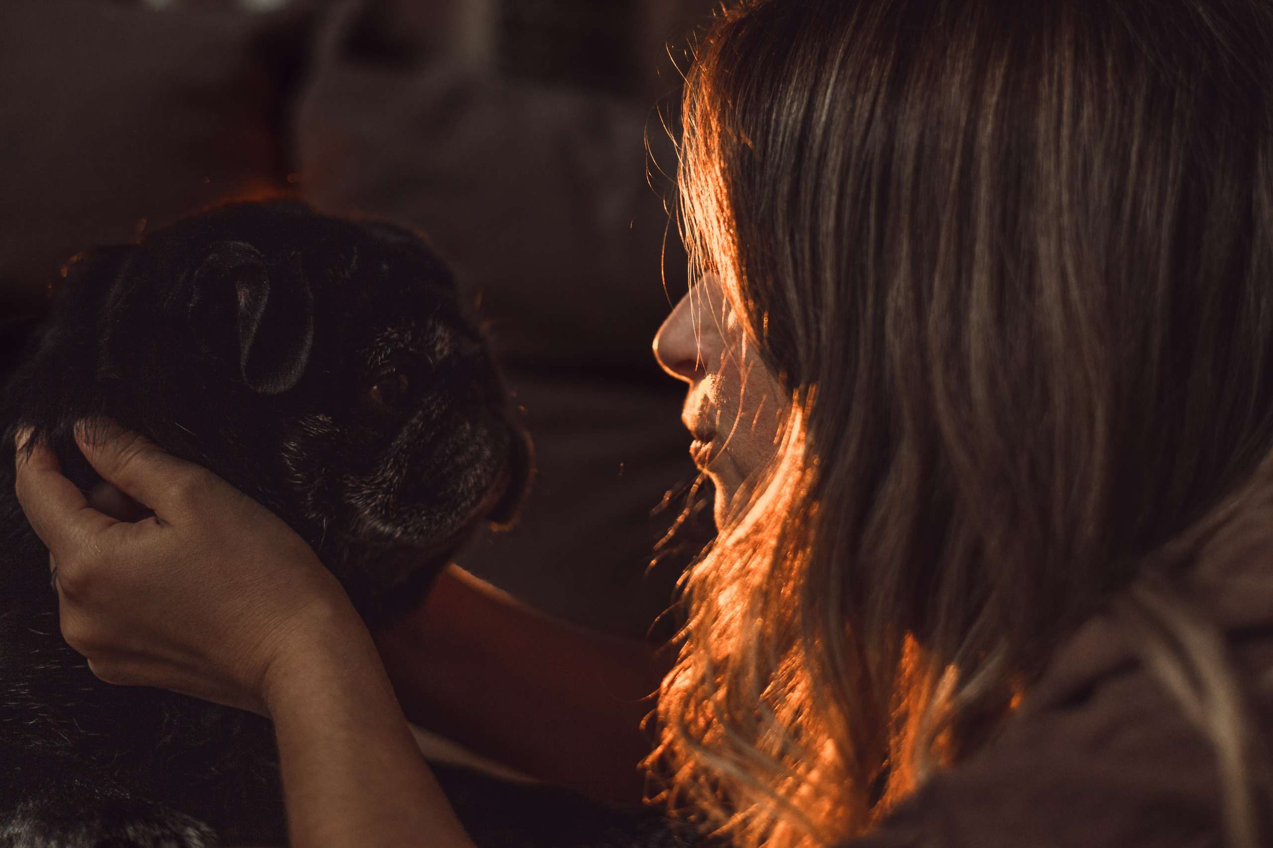 Оля, Харви, Луис. Фотограф-анималист Татьяна Степанова