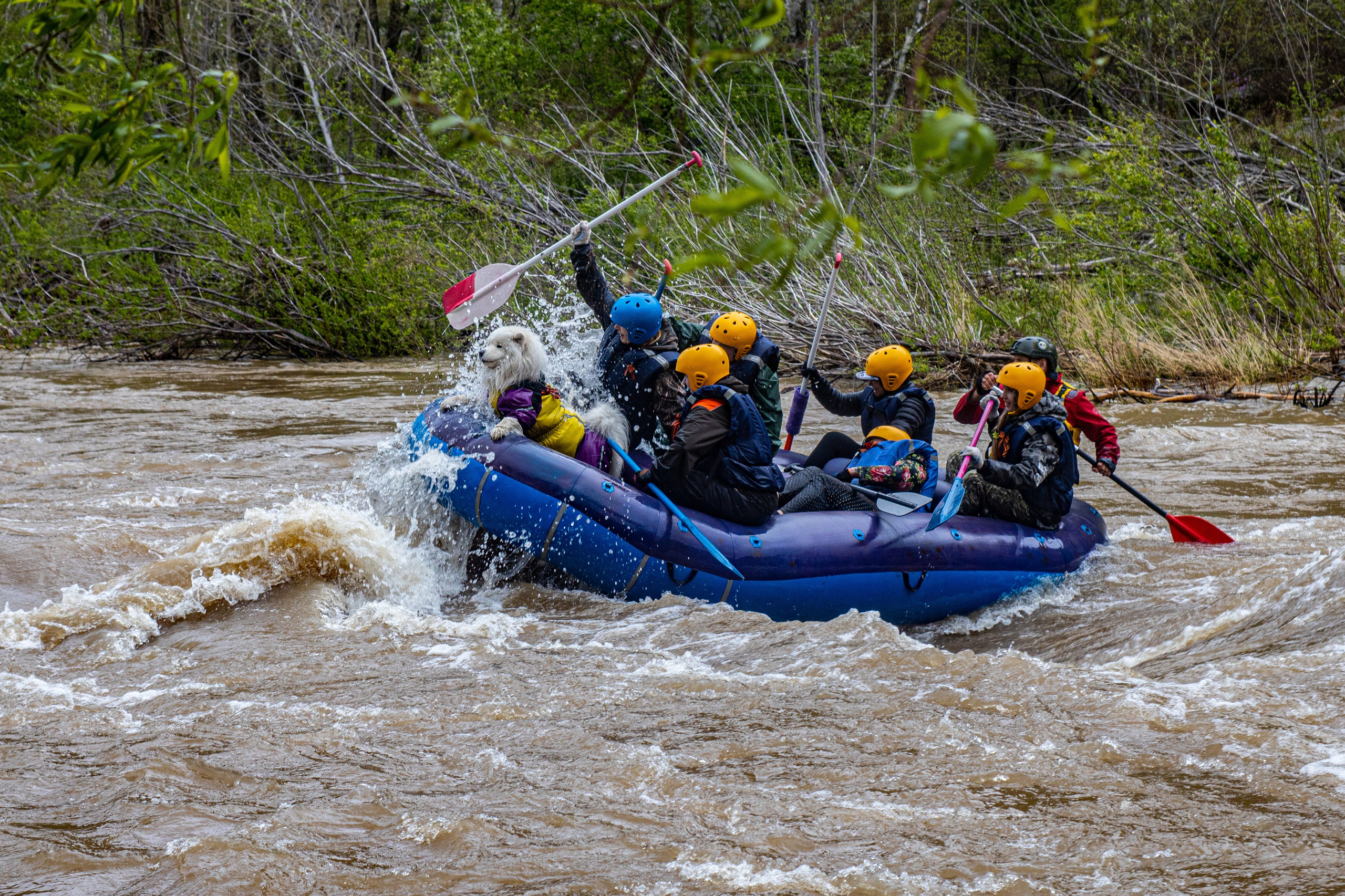 Фотосопровождение. Фотограф во Владивостоке Осипчук Дмитрий