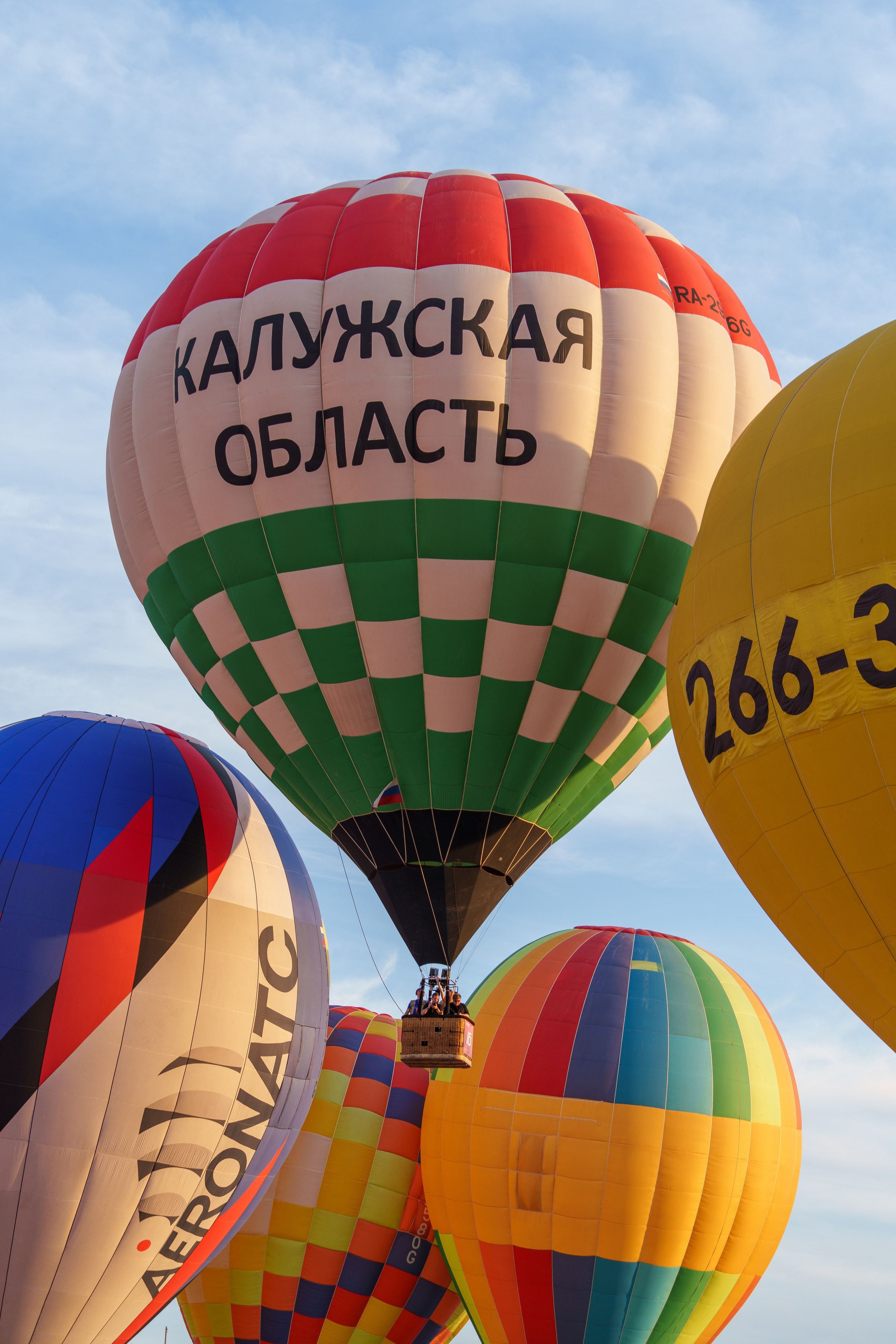 Фиеста Аэростатов. Sunnyman