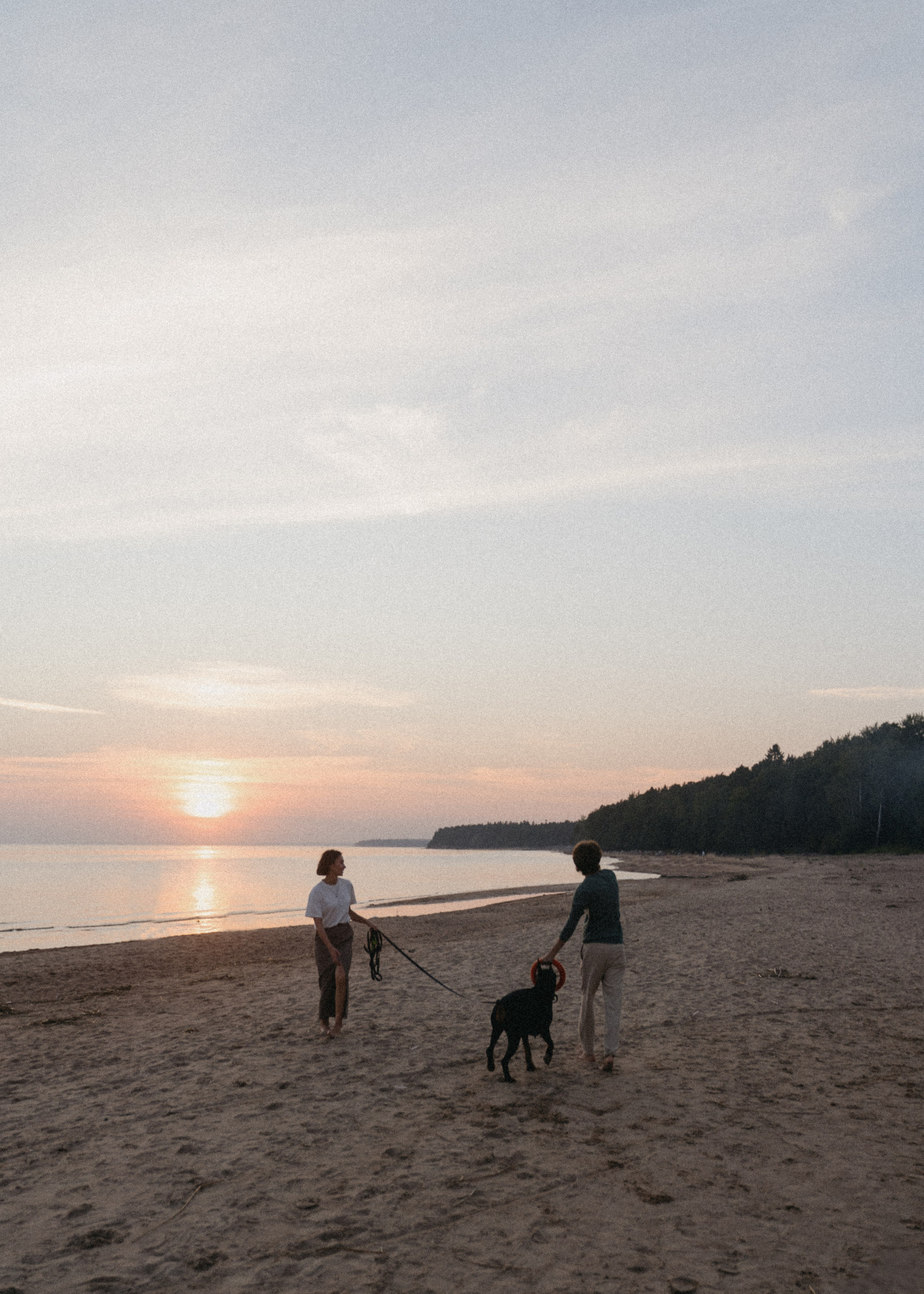 Нестер и Кристина. Свадебный и семейный фотограф в Санкт-Петербурге Дмитрий Панин