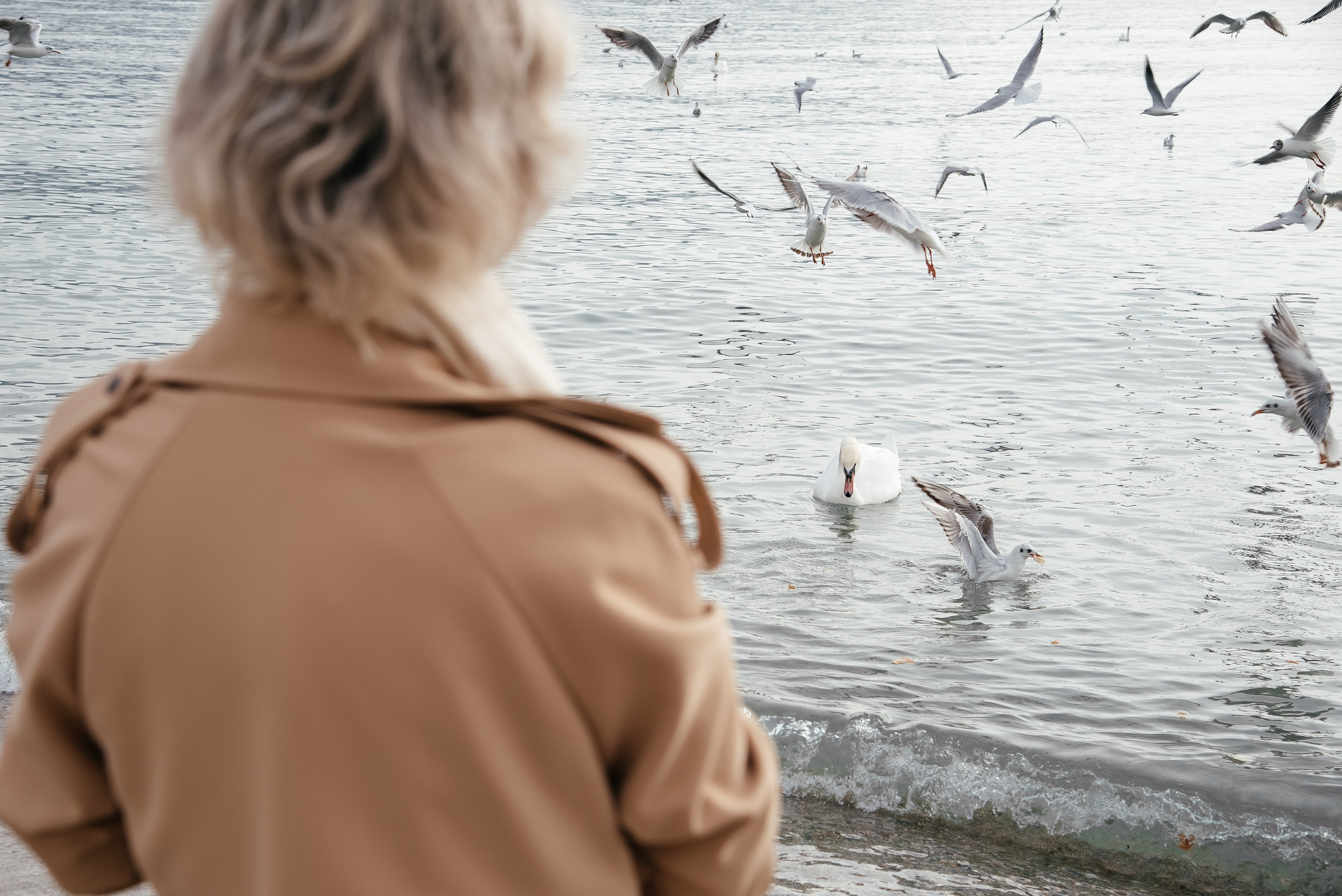 Чайки. Портретный и семейный фотограф в Геленджике Таня Ходова
