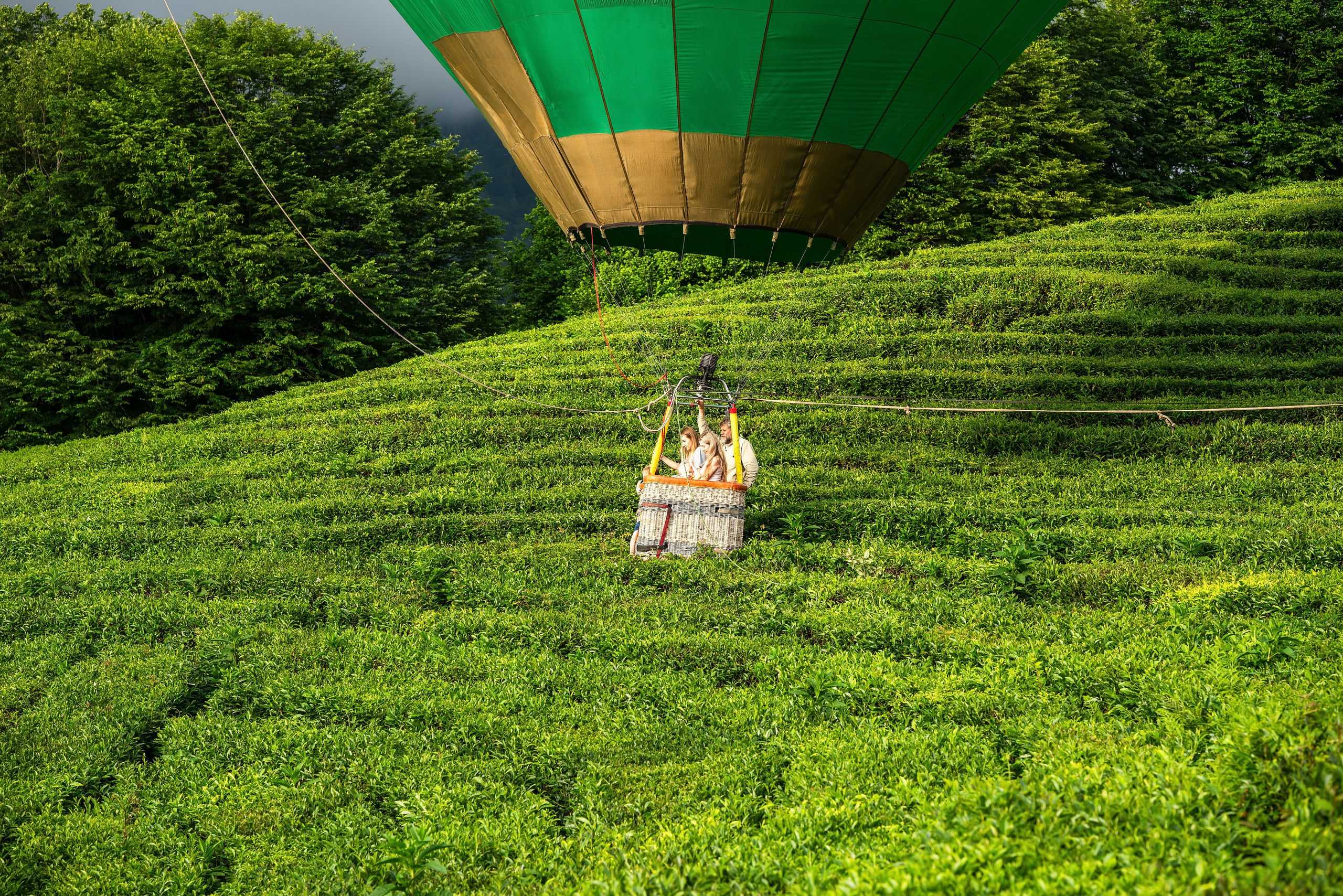 Фотограф на праздник Сочи. Фотограф Сочи