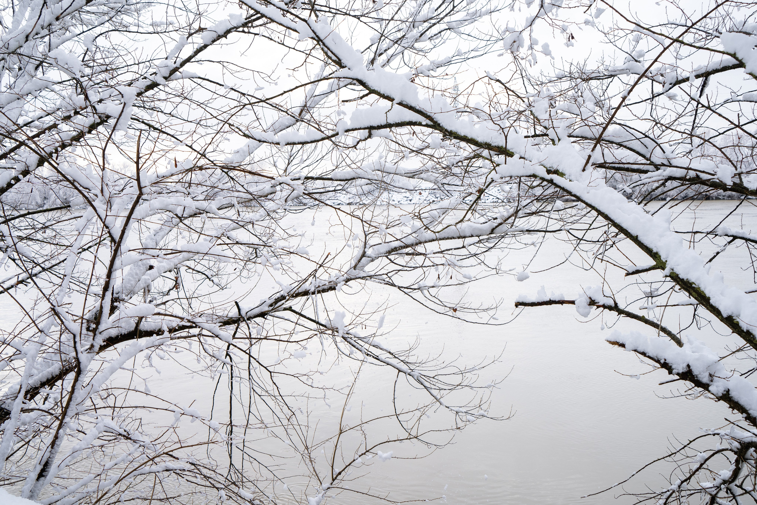 Зима 2024. Свадебный и семейный фотограф/видеограф в Краснодаре Наталья Осинская