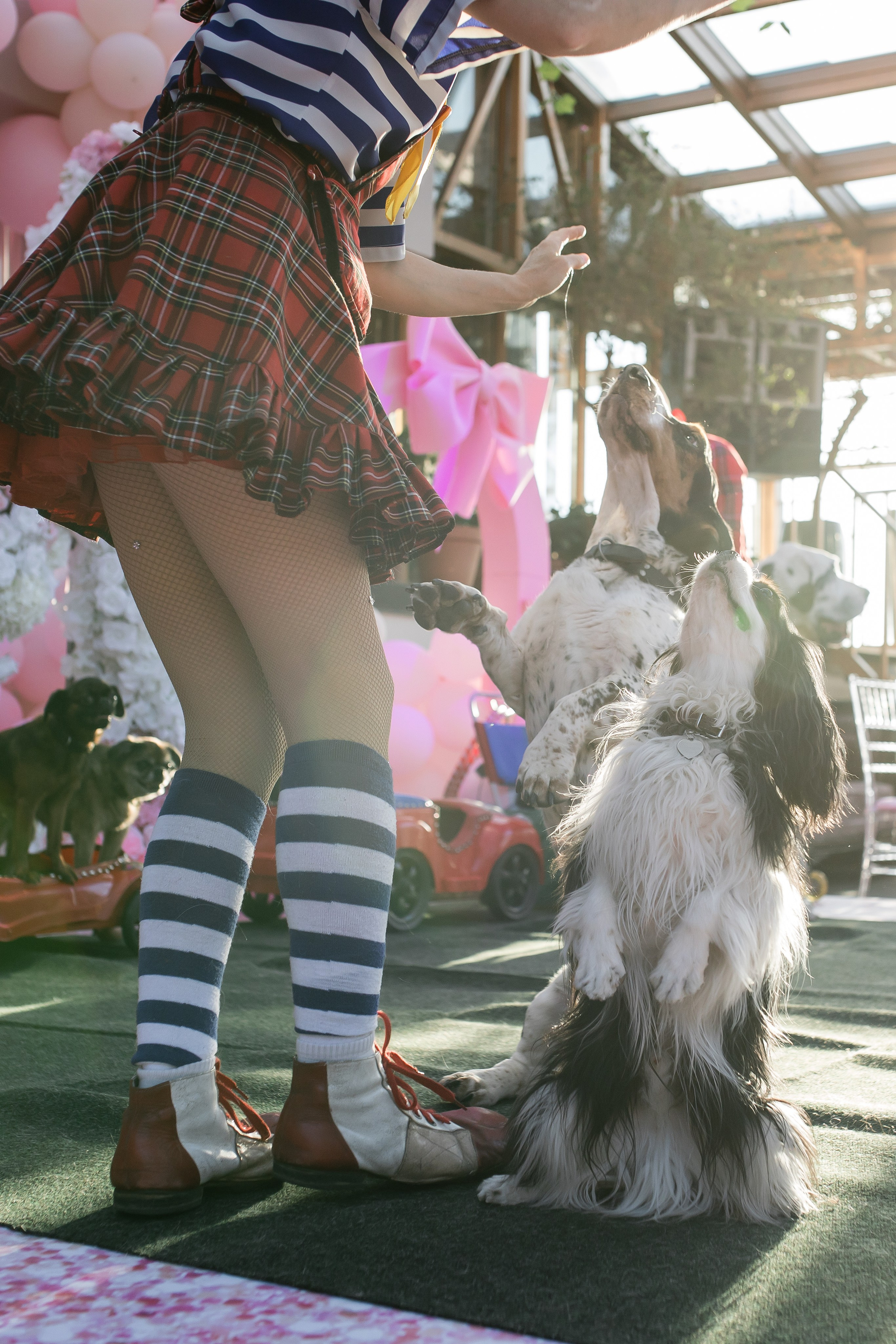 Детский день рождения, фотосессия детского дня рождения. Репортажной и Свадебный фотограф Слава Цесарь