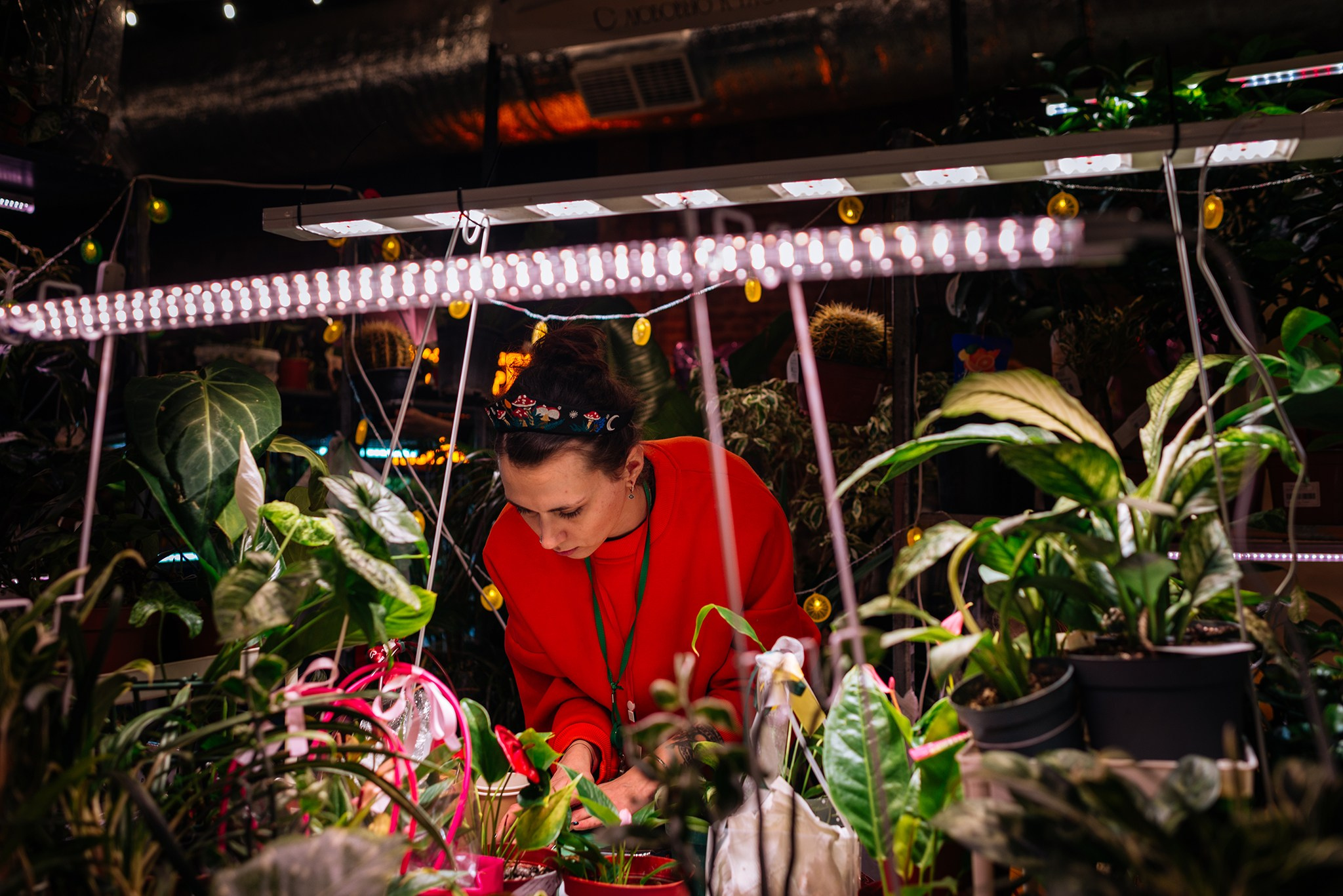 ВАУ Фест. Март 26. Репортажный фотограф в Санкт-Петербурге Анастасия Клёпова