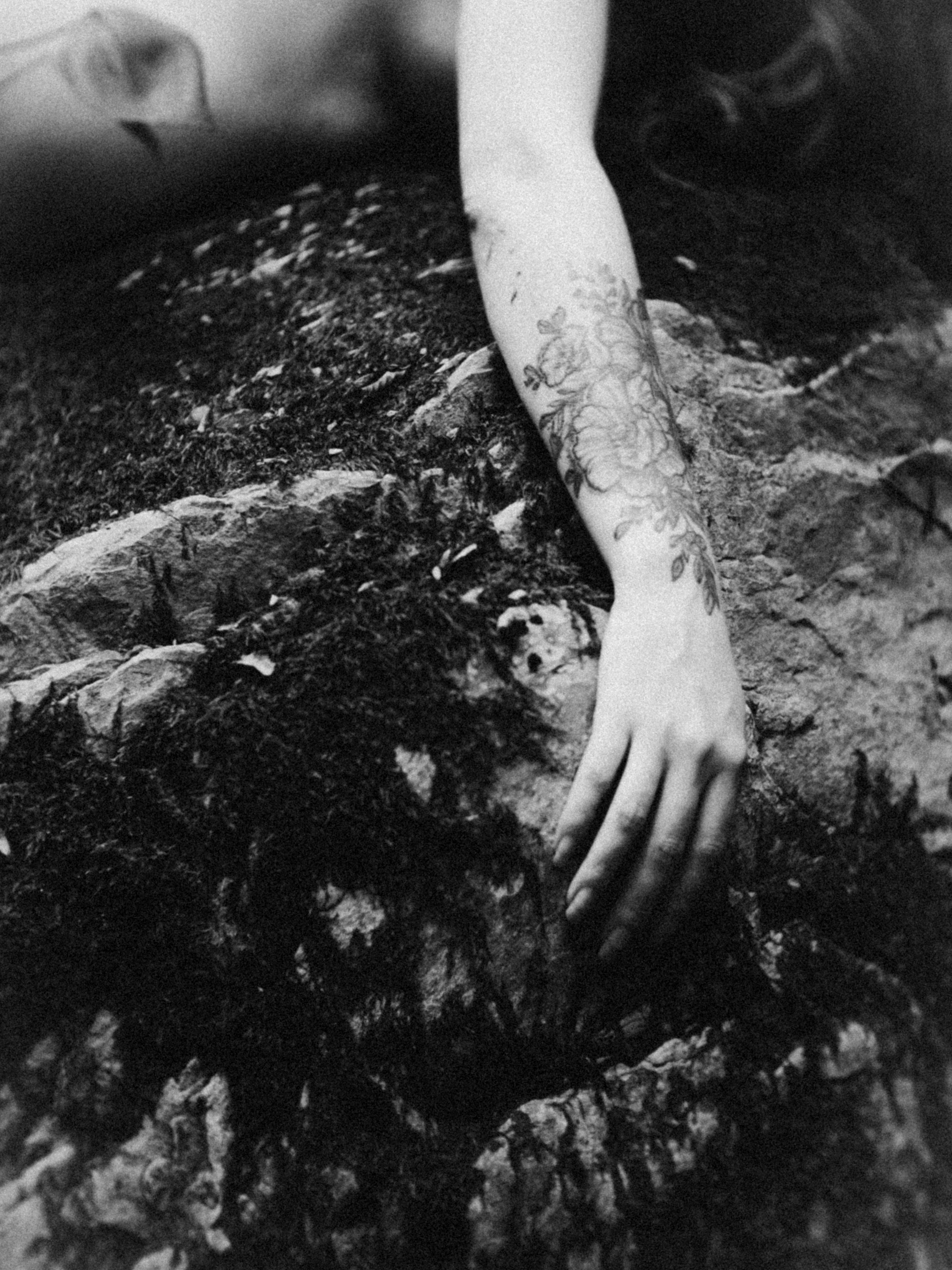 Обнаженная фотосъёмка в лесу