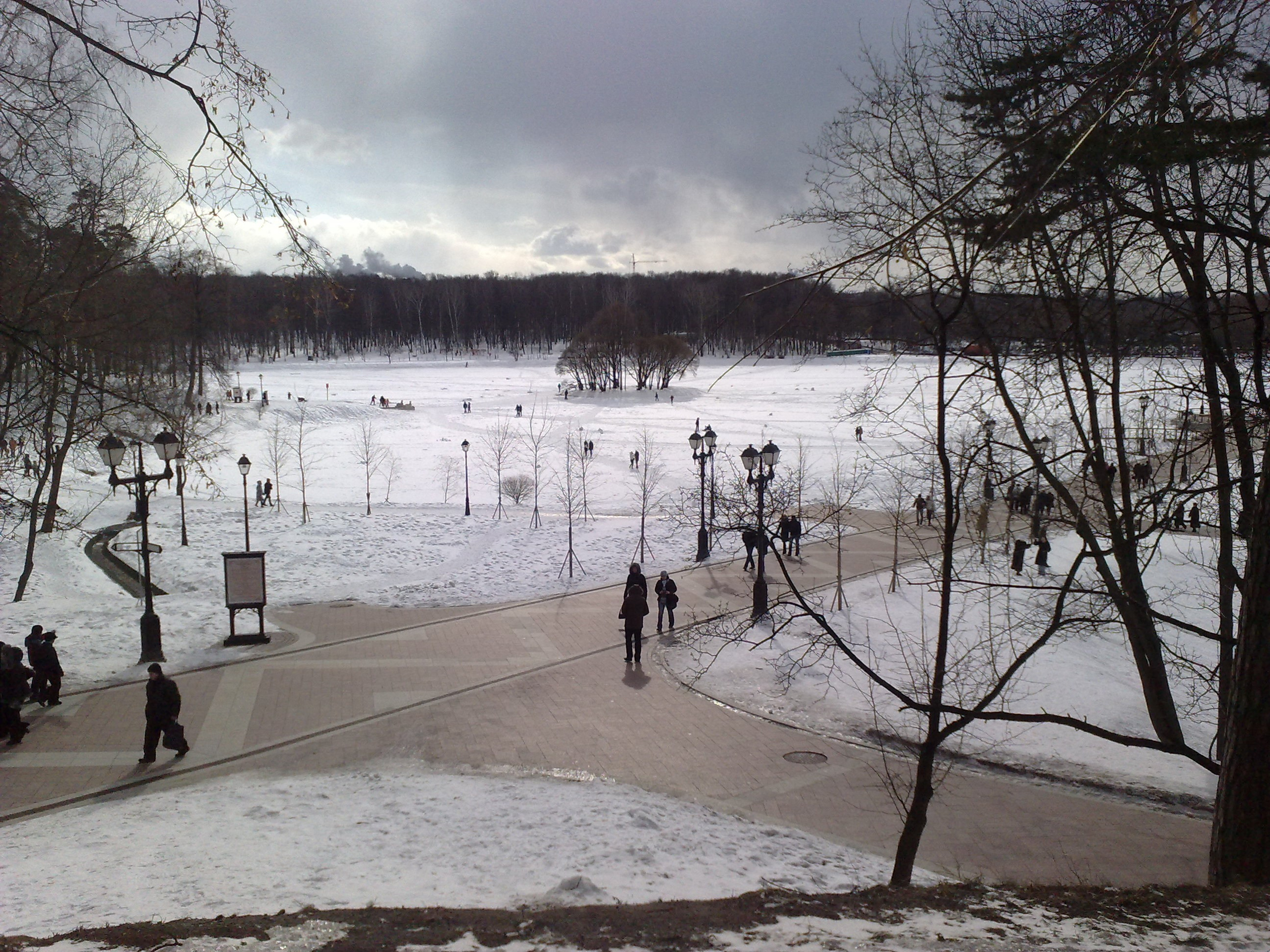Царицино музей-усадьба. Питомник китайских хохлатых собак Poale Ell: купить щенка в питомнике