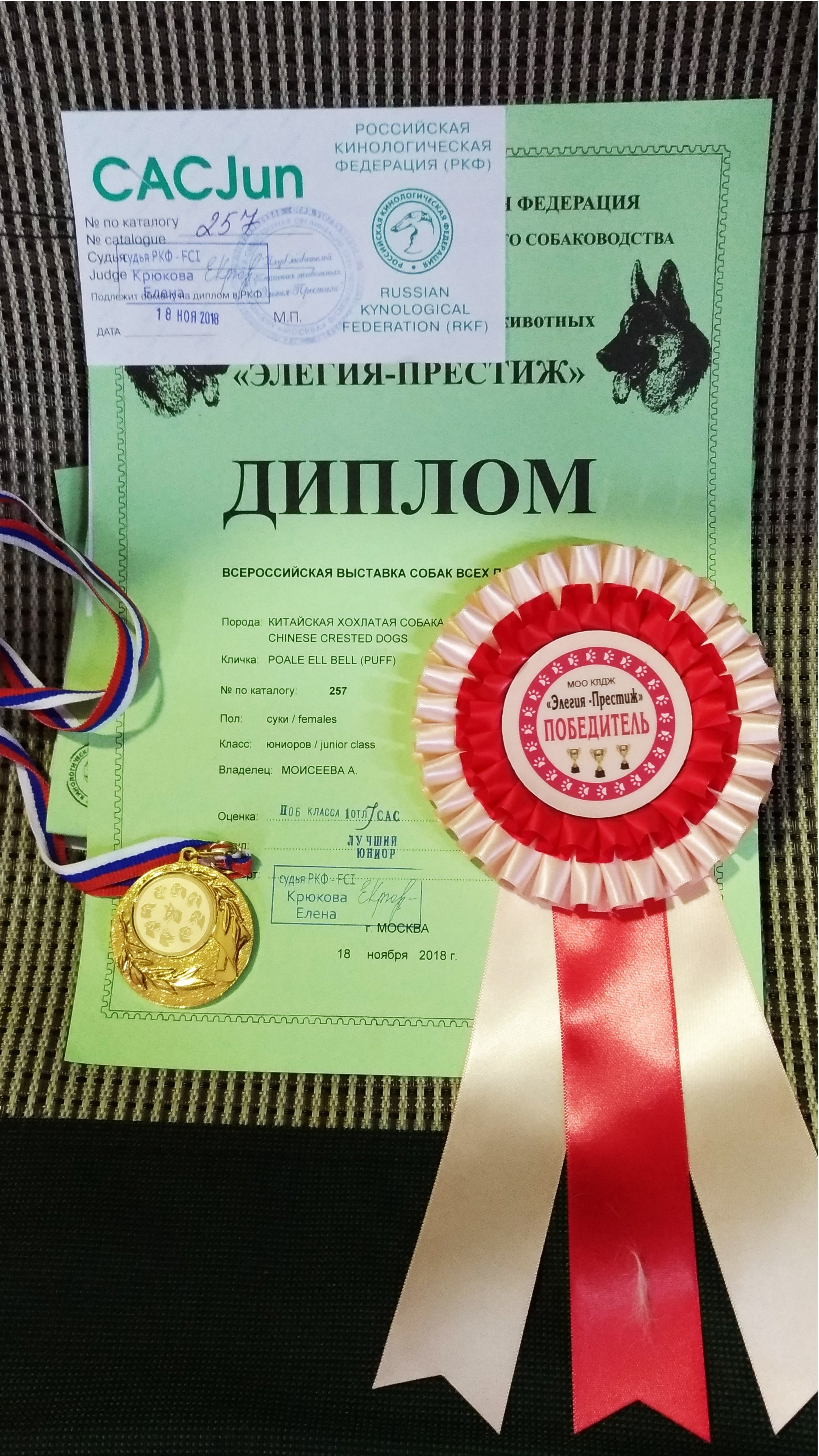 Poale Ell Bell. Chinese Crested Dog Kennel Poale Ell