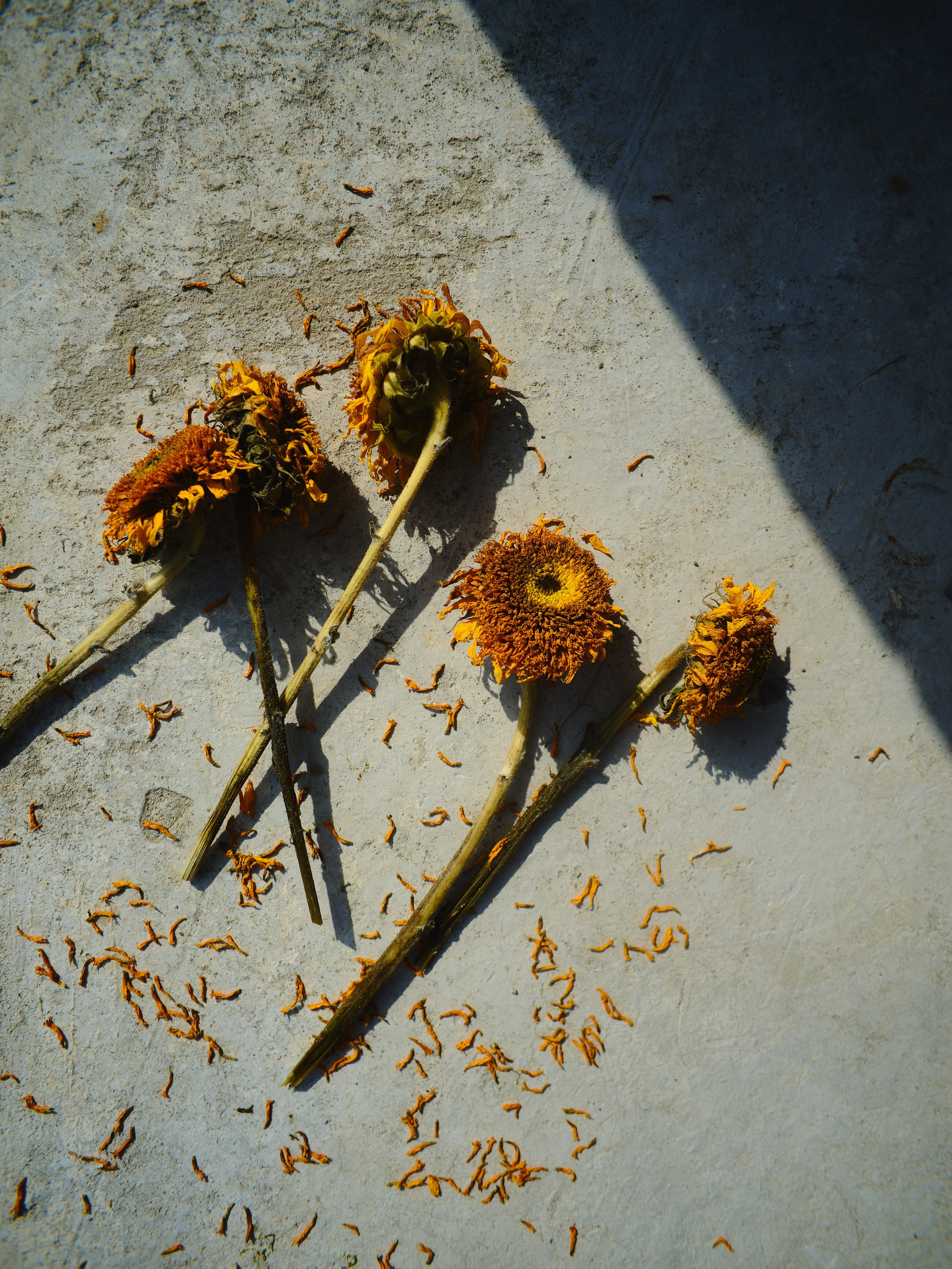 Фотограф Юлия Глазкова