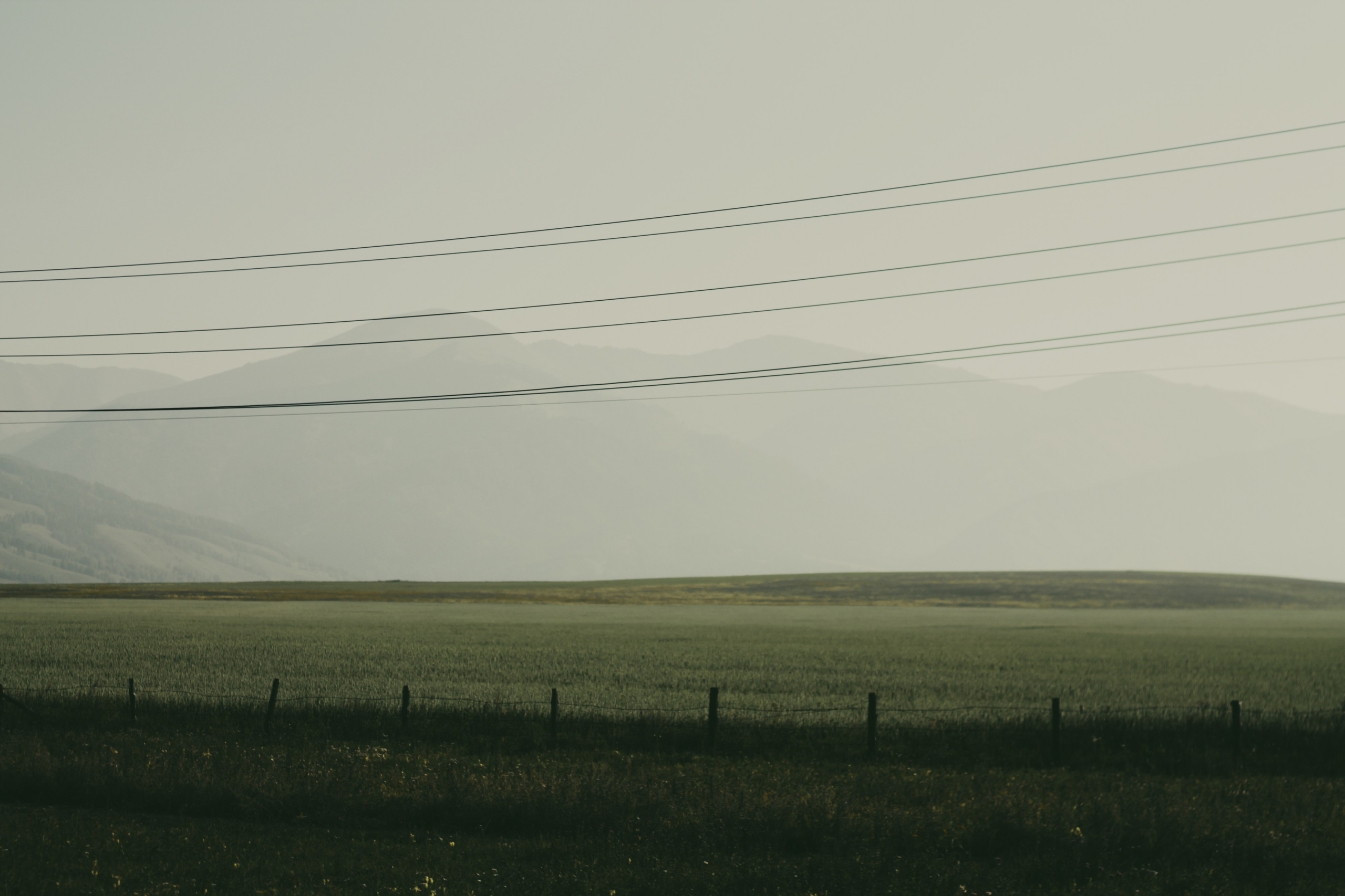 Алтай. Фотограф Александр Рауш