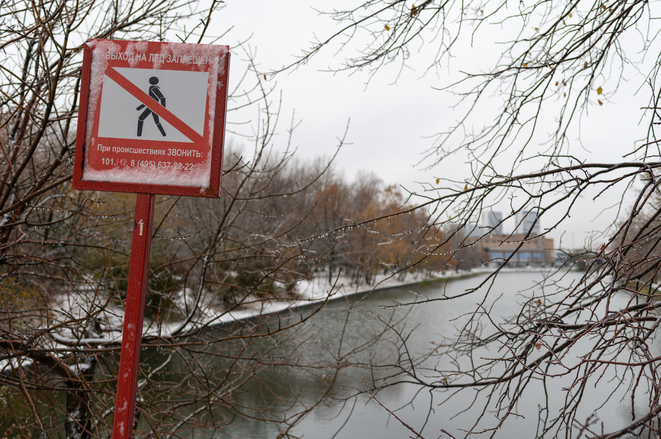 20231030 Тест Tamron SP 35 mm F/1.8. Дмитрий Ремизов. Фотография, как хобби