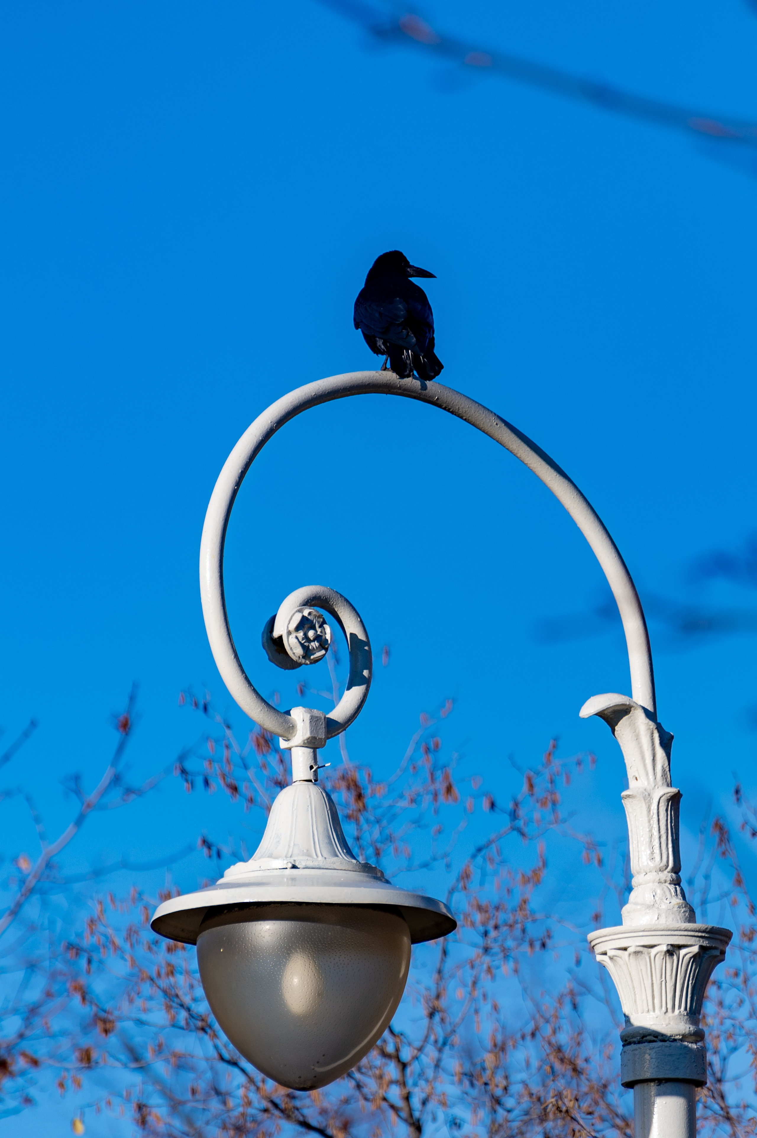 20241102 МГУ. Дмитрий Ремизов. Фотография, как хобби