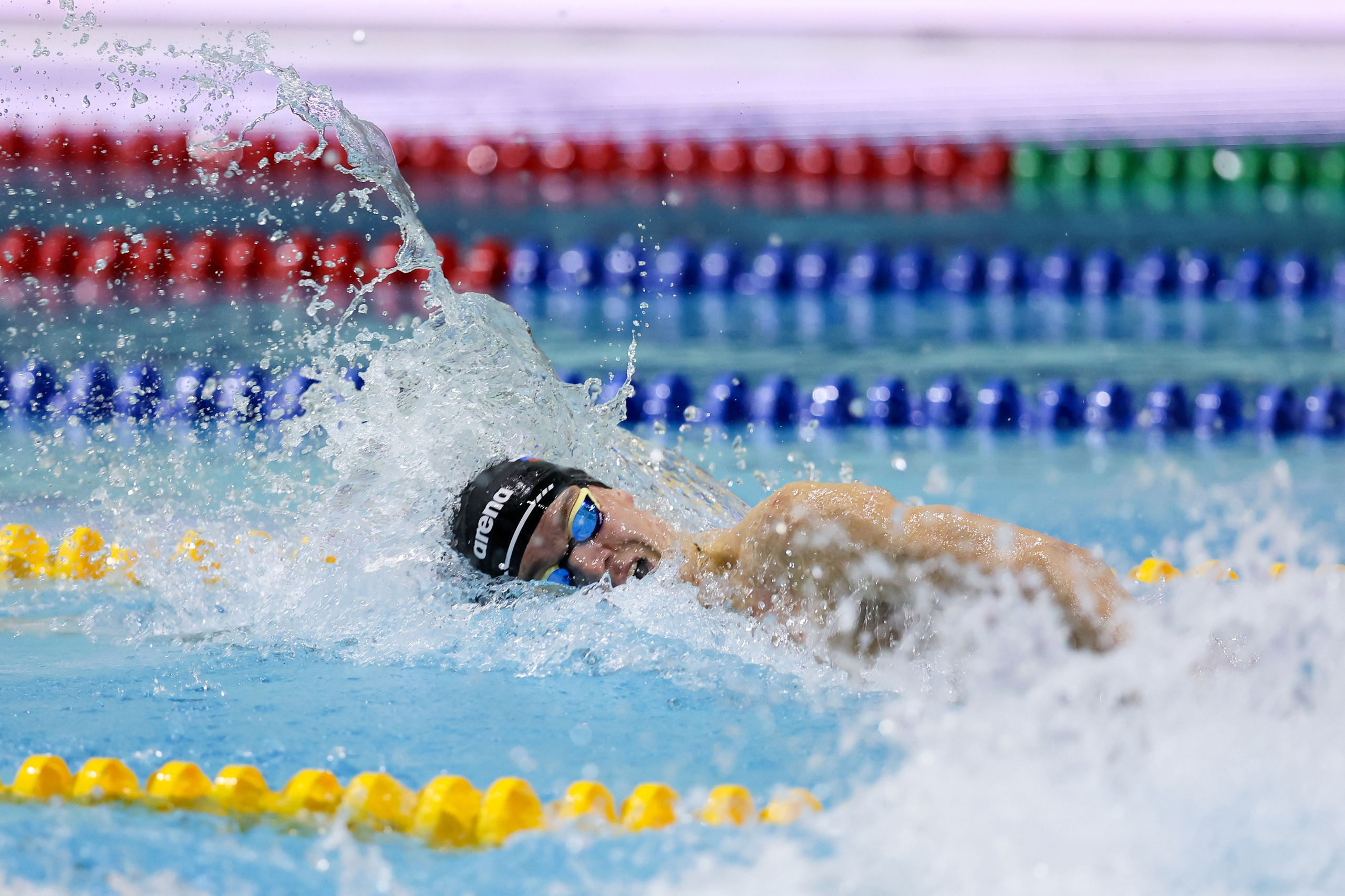 Чемпионат России по плаванию 25 м 21-26.11.2024. Спортивный и репортажный фотограф Антон Тереханов