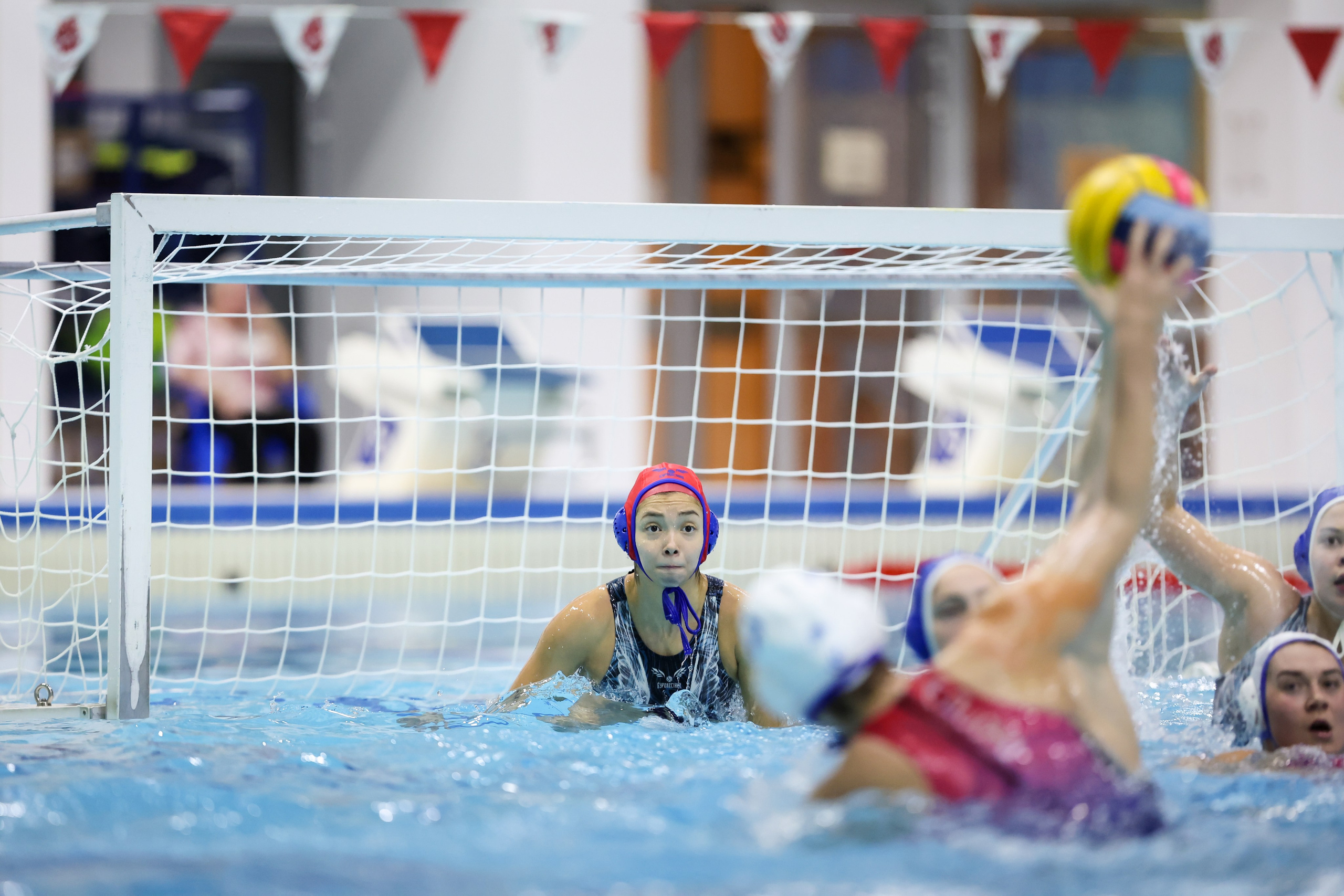 ВК «Диана» — ВК «Буревестник». Спортивный и репортажный фотограф Антон Тереханов