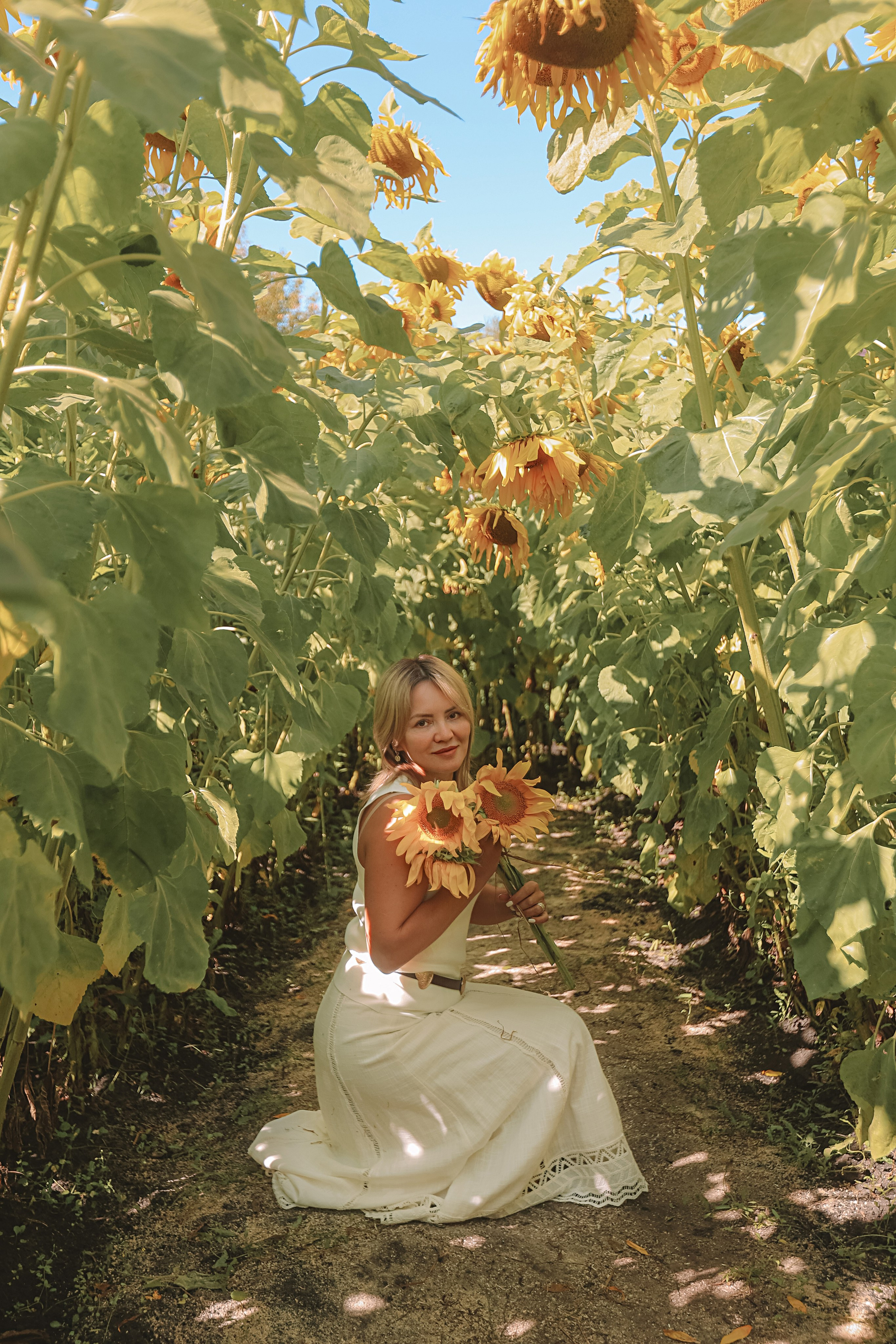 Подсолнухи. Семейный фотограф Тюмень, фотограф на роды Салмина Мария