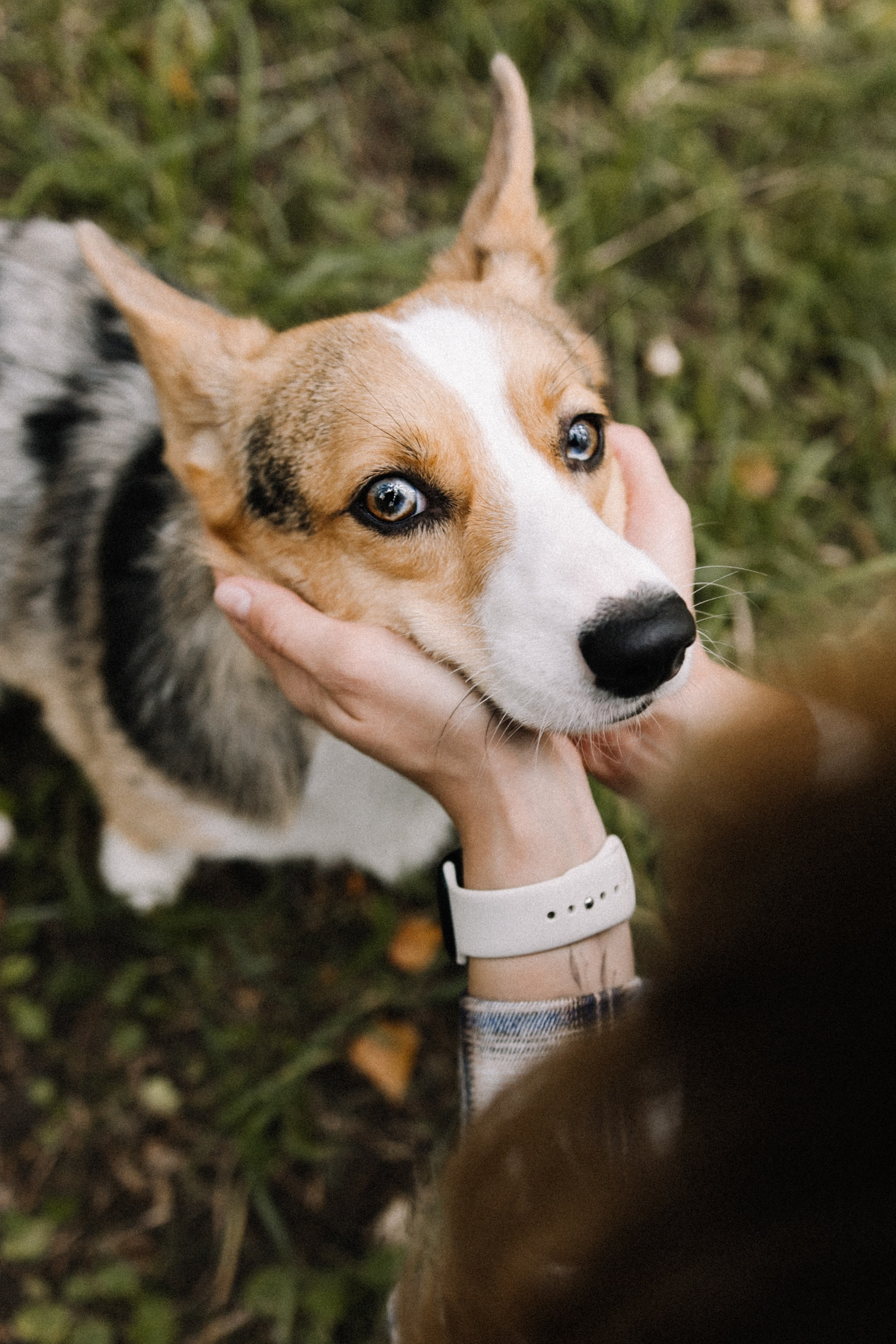 Алина и Тома. Фотограф в Кирове и Кирово-Чепецке Валерия Шиляева