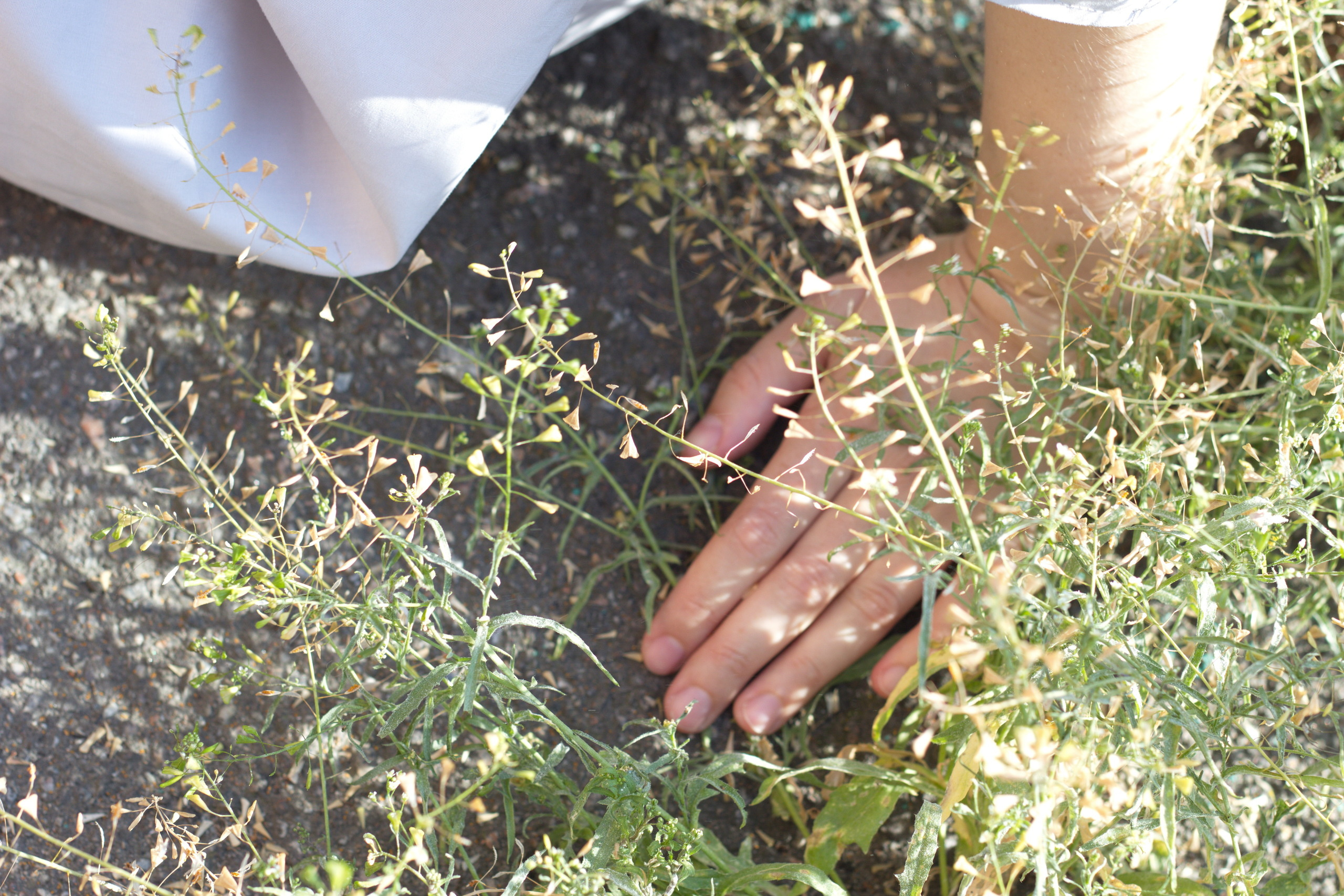 Vasilisa Moiseeva, St. Peterburg, Russia, doc /art & reportage