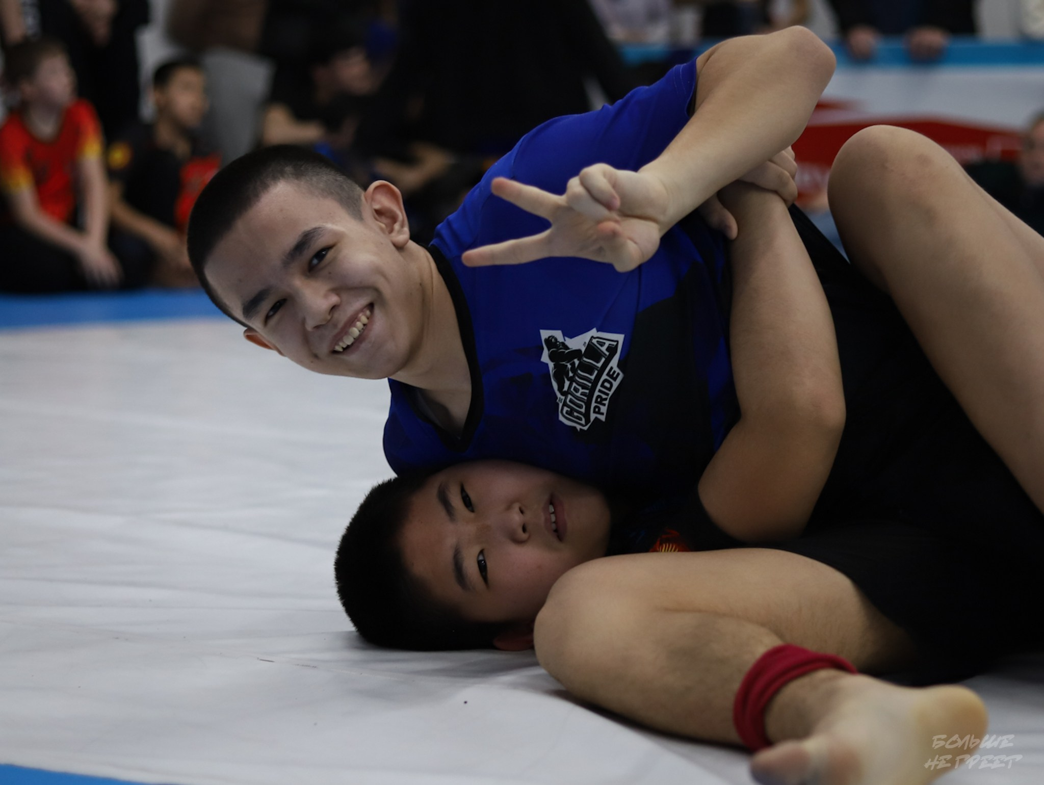 GORILLA PRIDE CUP. Больше не греет