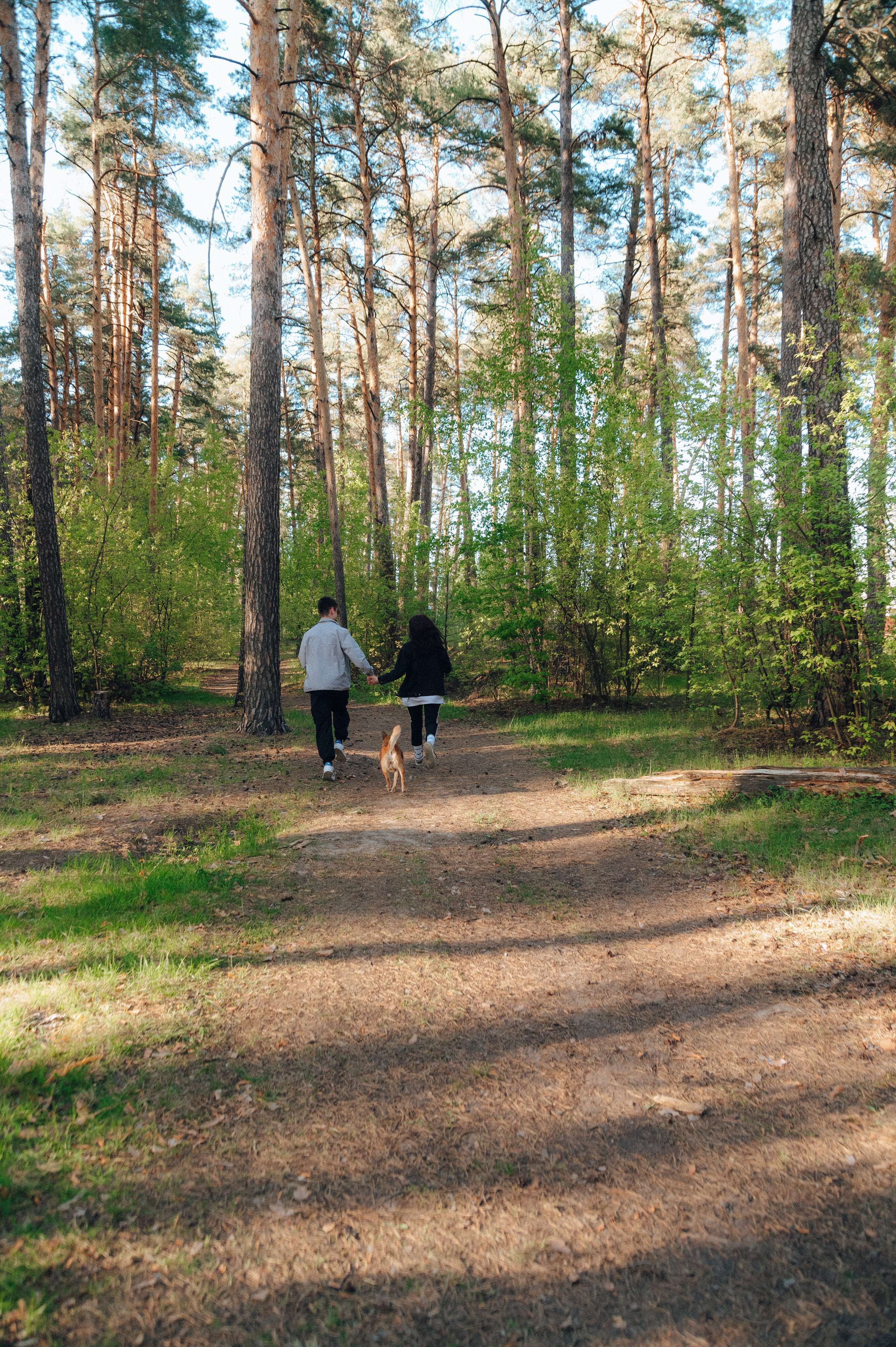 Влад и Алёна. Детский и семейный фотограф Катерина Мишина