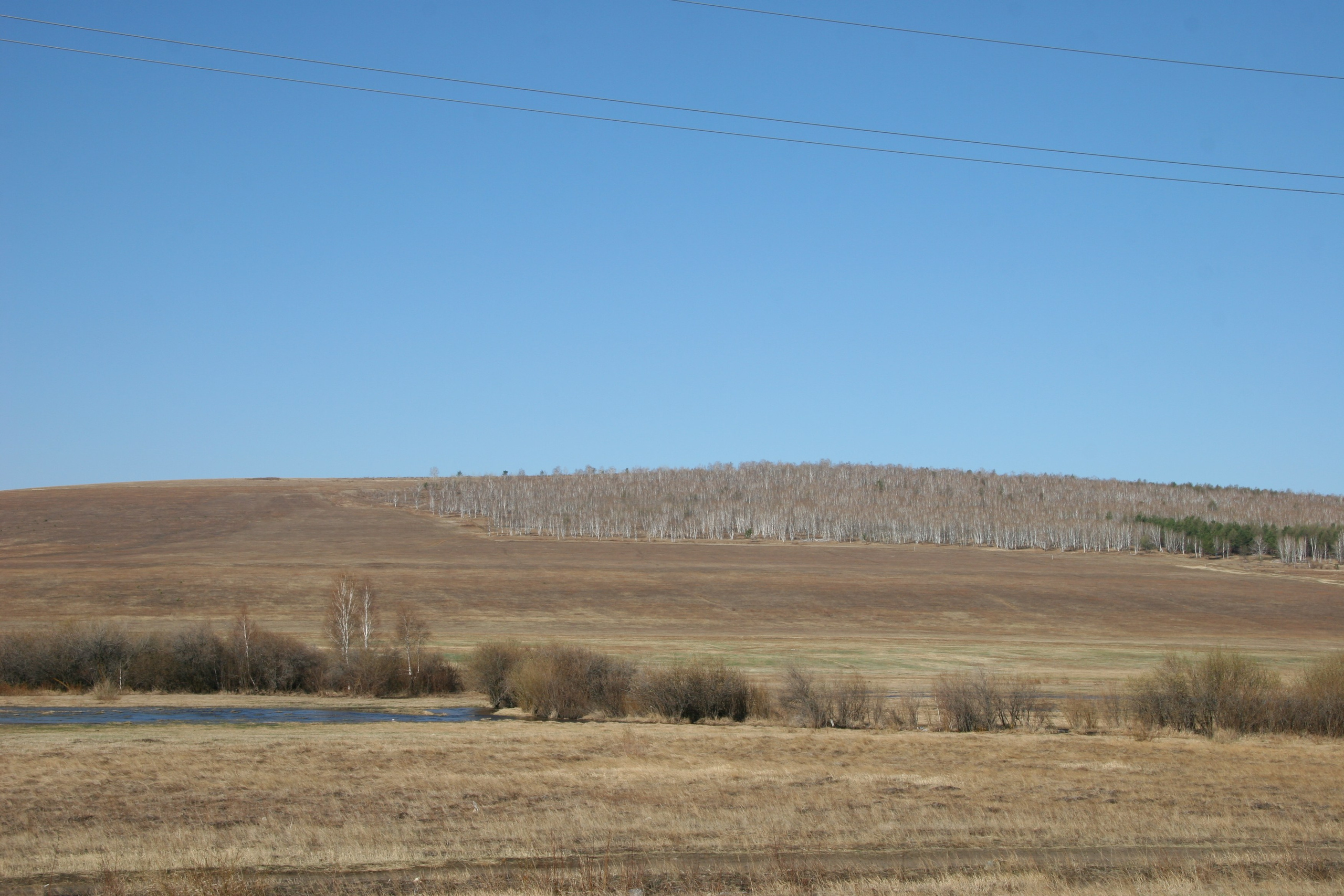Фото Природы Забайкалья. Студия Максима Белослюдцева